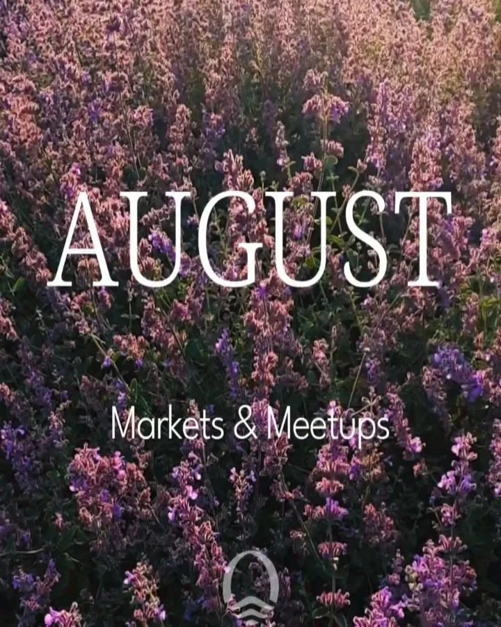 Do you know this August a near total solar eclipse will be visible from the Netherlands? Also the Perseid meteor shower will be at its peak on August 12 and 13, best chance to see it, is in the midnight. 
August is also the peak and final summer mont