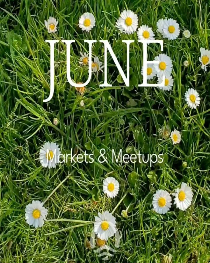 Do you know, Daisy is the national flower of Netherlands 🌱
June is here and I know it doesn't feel like summer but next week will bring a smile 🌞.

Here is what's happening this month:

📍June 20: @rotterdamseoogst market
I will be with my collecti