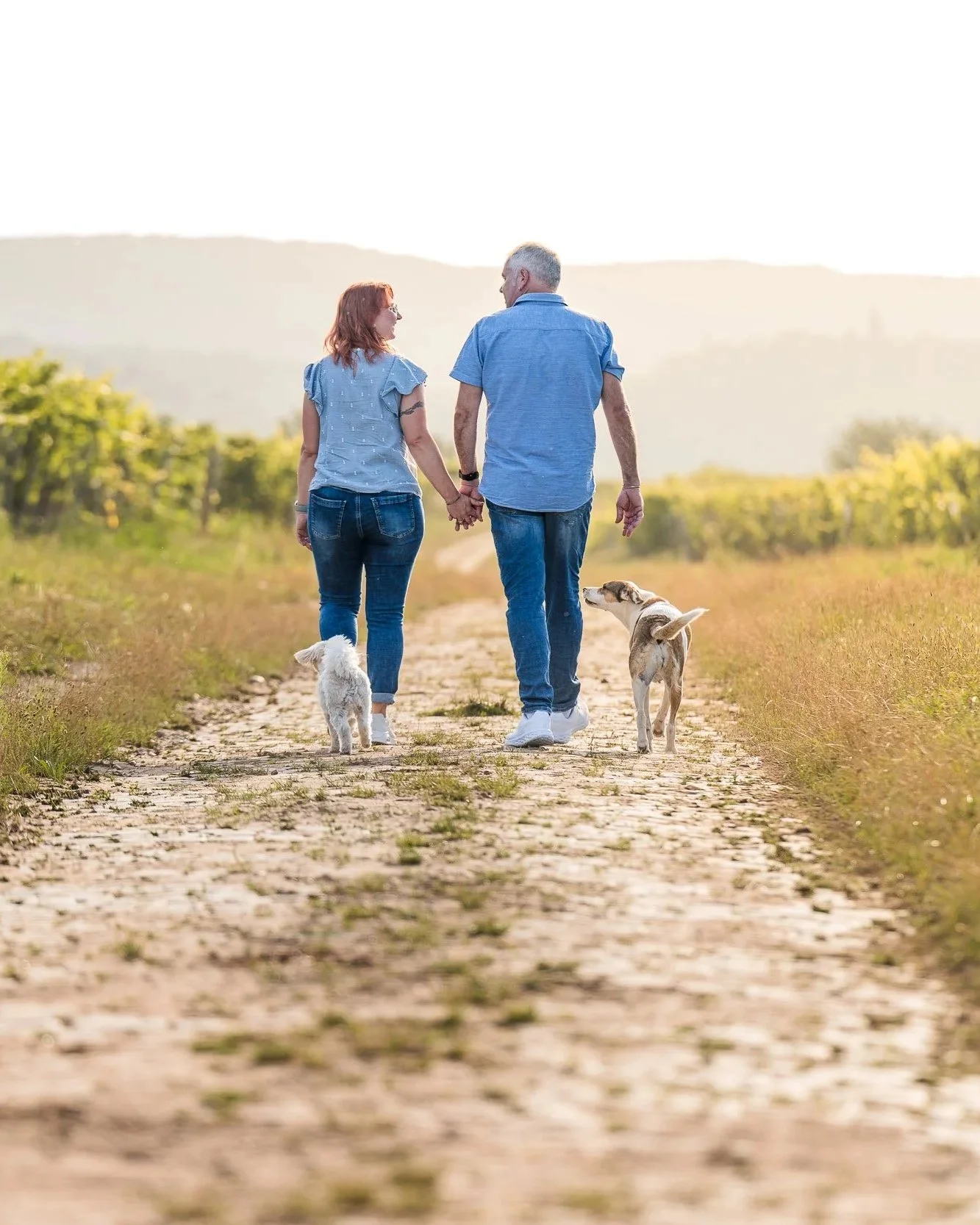 Ein Paar mit zwei Hunden, das einen Feldweg entlanggeht.