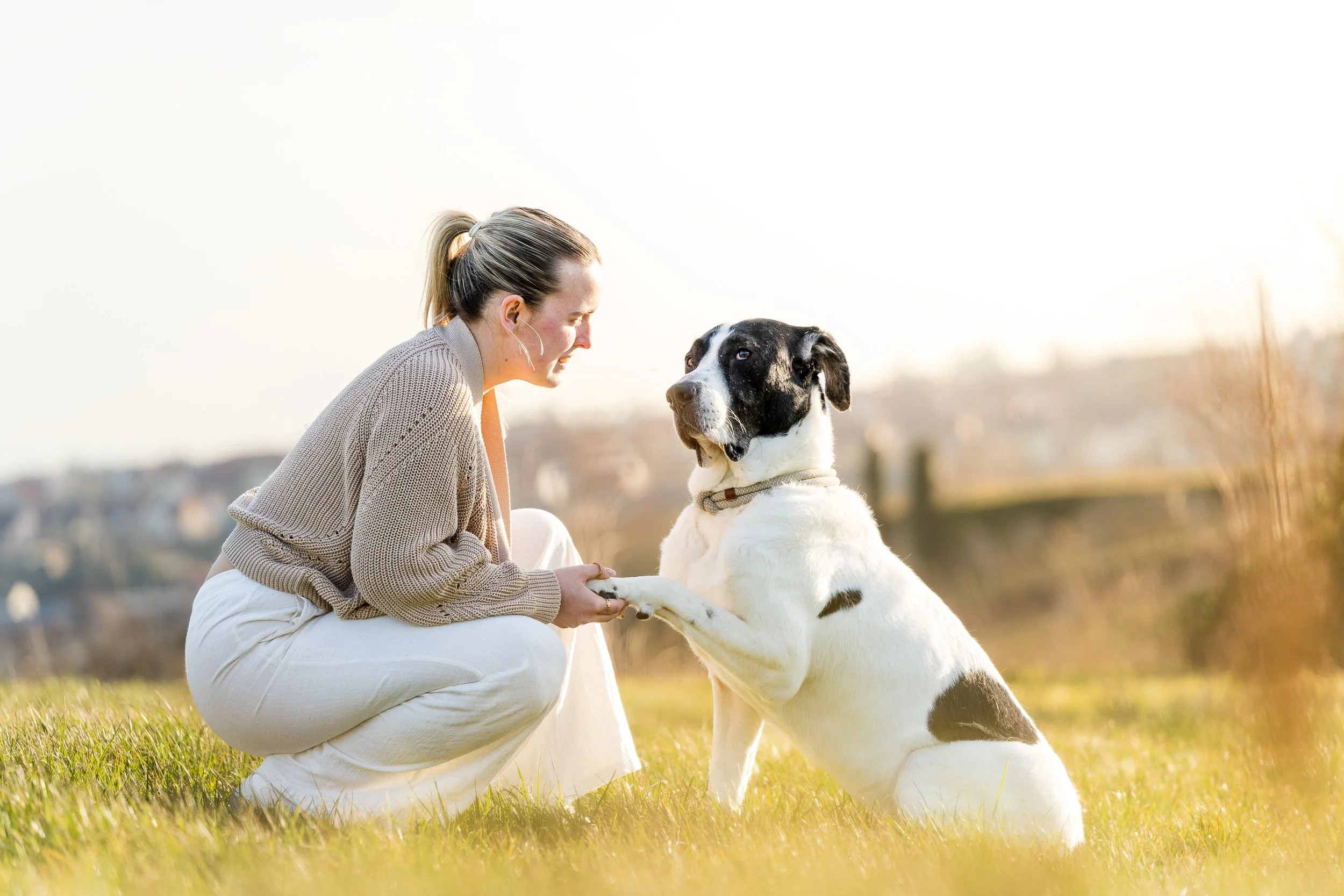 Eine Frau hält die Pfote eines großen weißen Hundes mit schwarzen Flecken, während sie im Freien auf einer Wiese kniet. Die Frau trägt beige Kleidung, hat braunes Haar zum Zopf. Die Sonne strahlt im Hintergrund über die Weinberge von Bad Dürkheim.