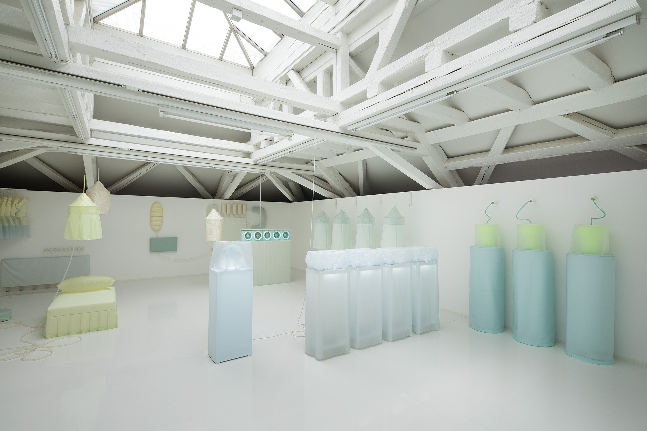 Carmen Pfanner - Corp Plastique