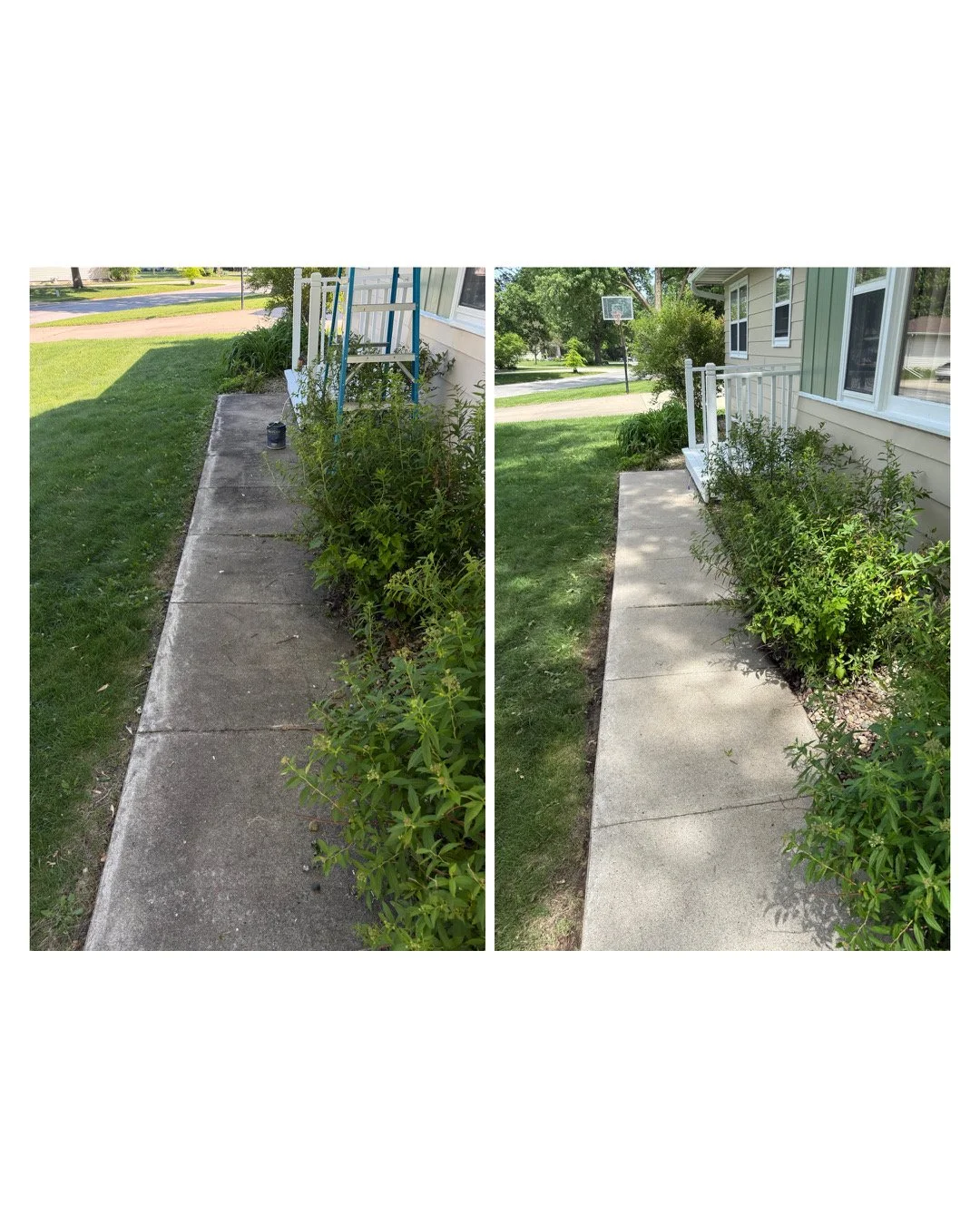 Before and after comparison of a sidewalk clean-up, showing overgrown bushes and a cleared, freshly washed walkway next to a house with a small porch and garden.