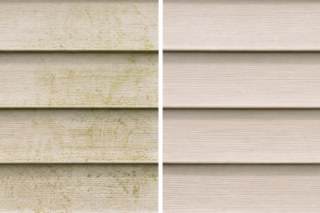 Comparison of weathered and clean siding boards, left side showing weathered, greenish applied wood, right side showing new, light-colored siding boards.