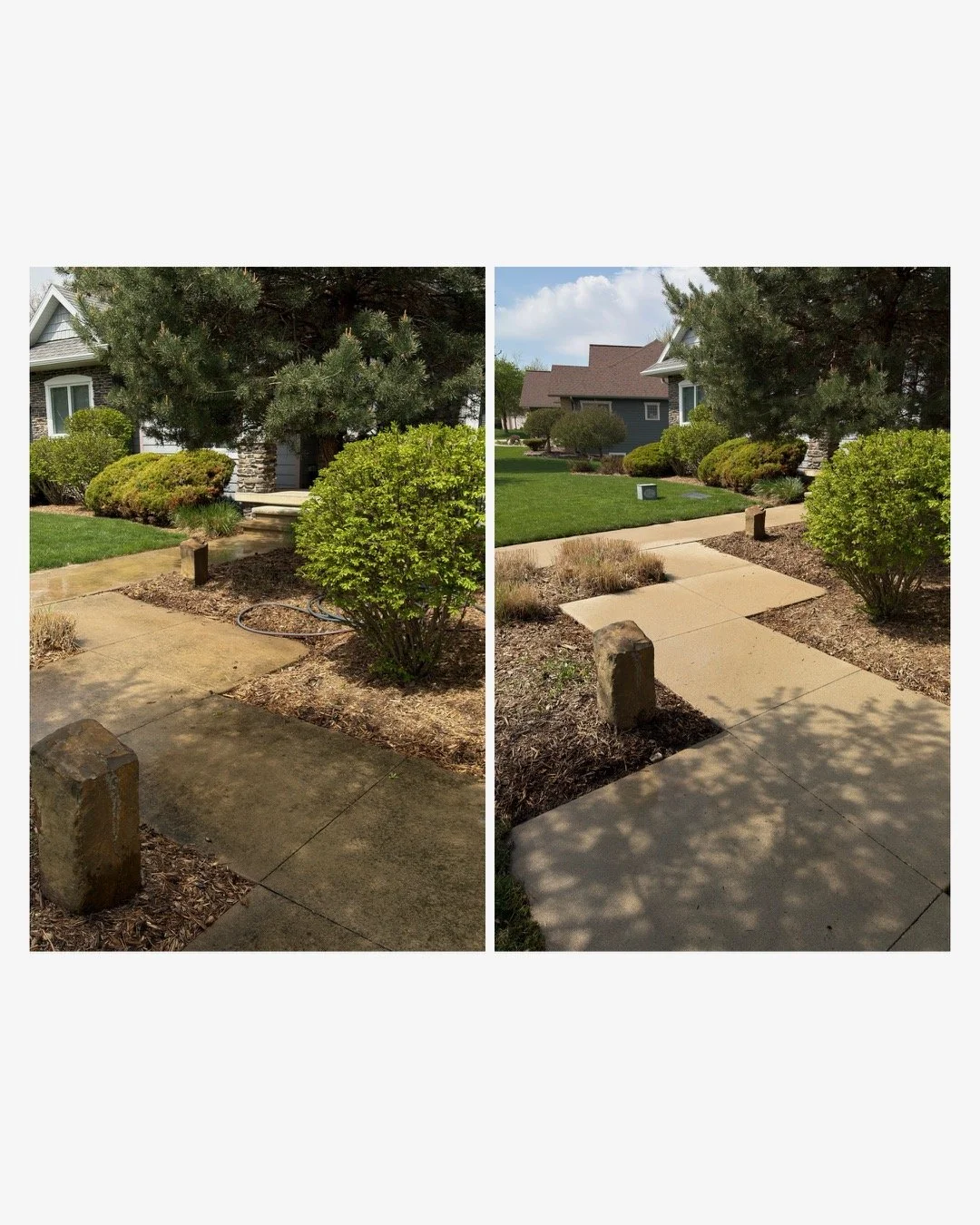 Side-by-side comparison of a sidewalk and landscaped front yard before and after cleaning, showing cleaner concrete and more vibrant grass on the right.