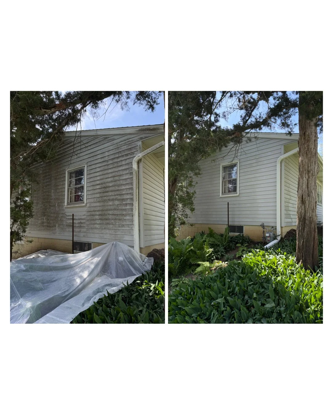 Side-by-side comparison of house exterior before and after power washing showing cleaned white siding with growth vs. dirty gray siding.