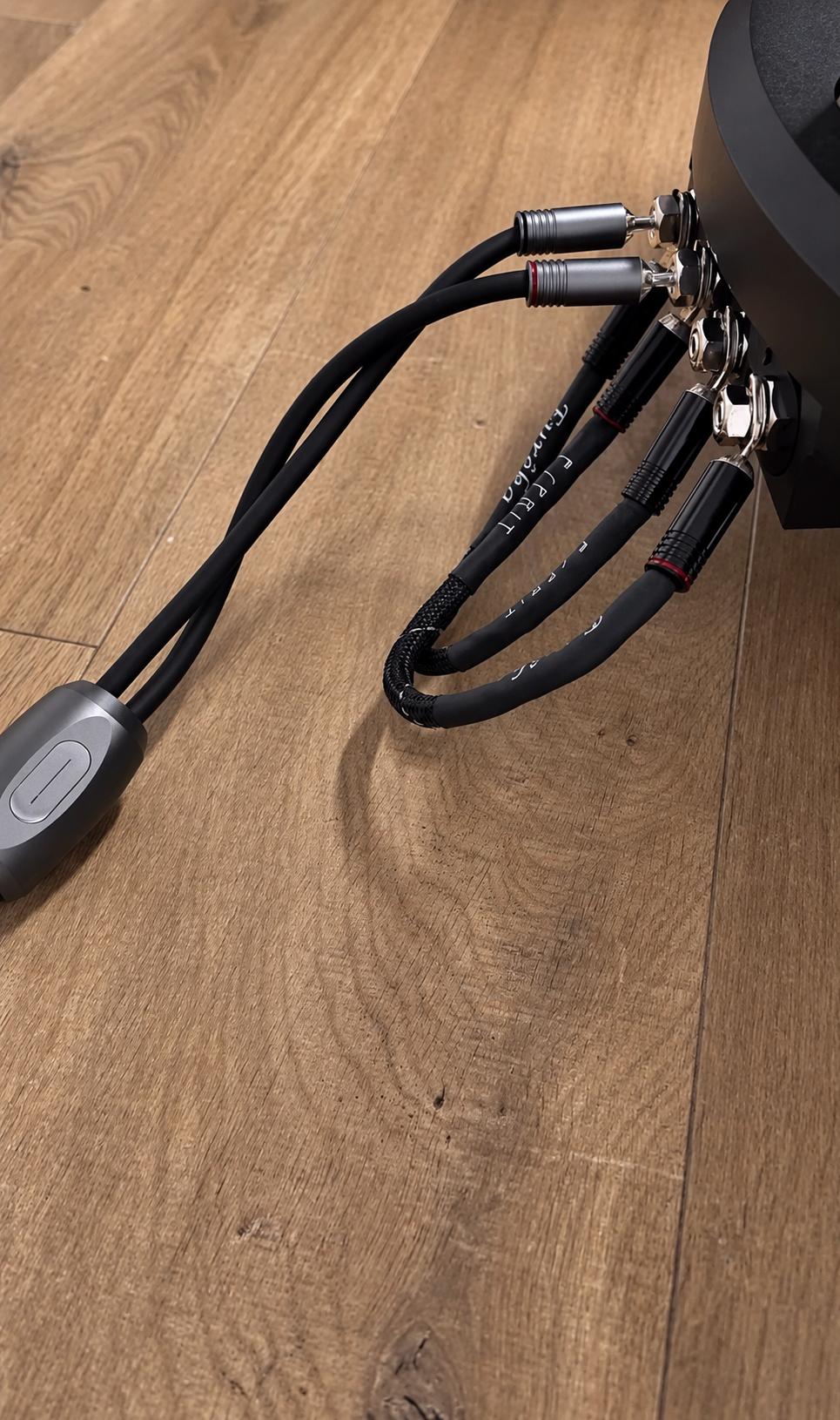 Câbles hi-fi sur parquet en bois.png