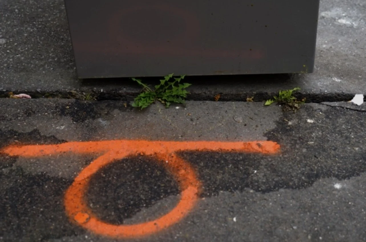 A close-up photograph of a parking lot surface with an orange painted circle and line, small green weeds growing through a crack in the pavement, and the bottom of a metallic gray parking meter or kiosk.