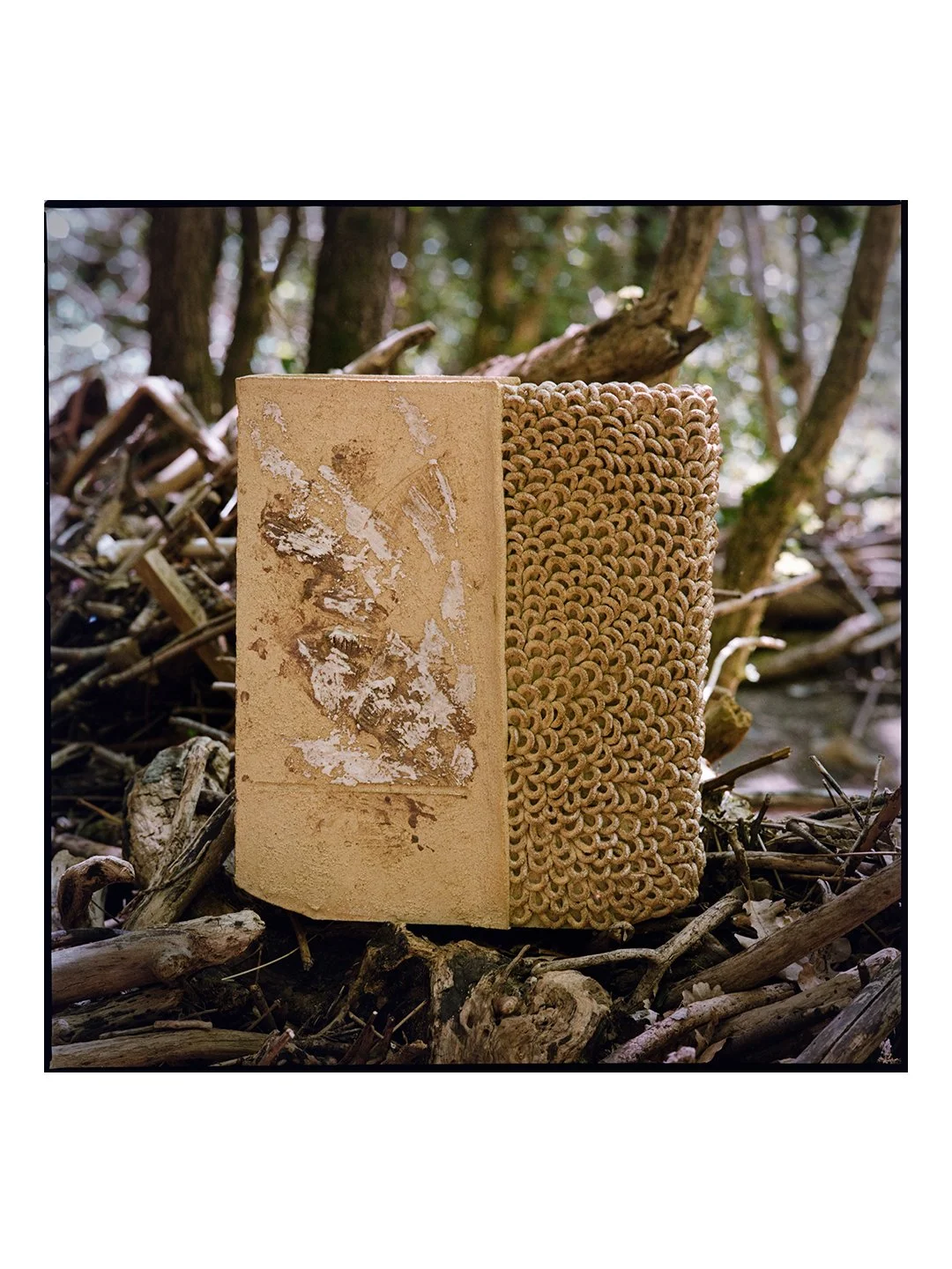 "Tricoty Abstraction"
32 x 12 x h 38 cm

&copy; Photo Dominique Standaert

#ceramicartist #ceramics #sculptures #belgianartist