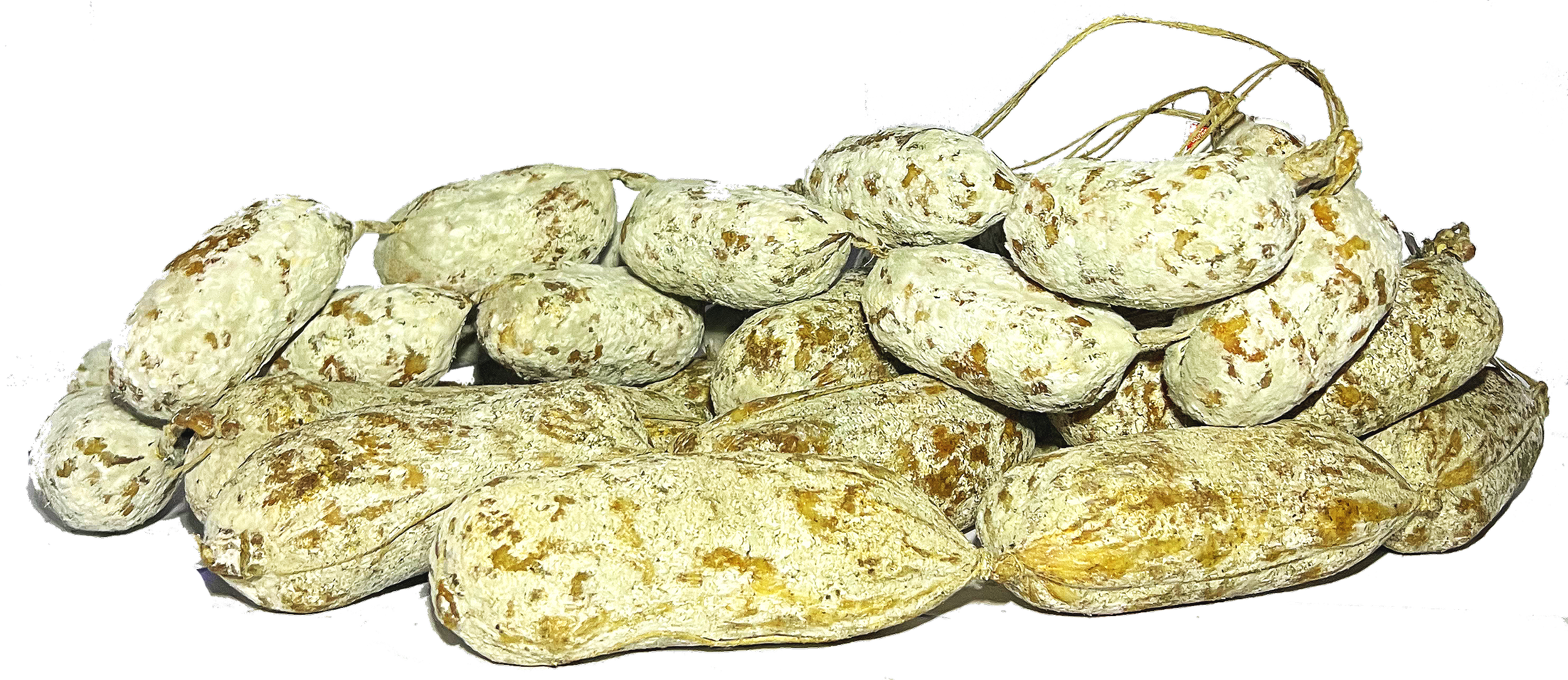 Salame tipo Mignon Salame Stagionato