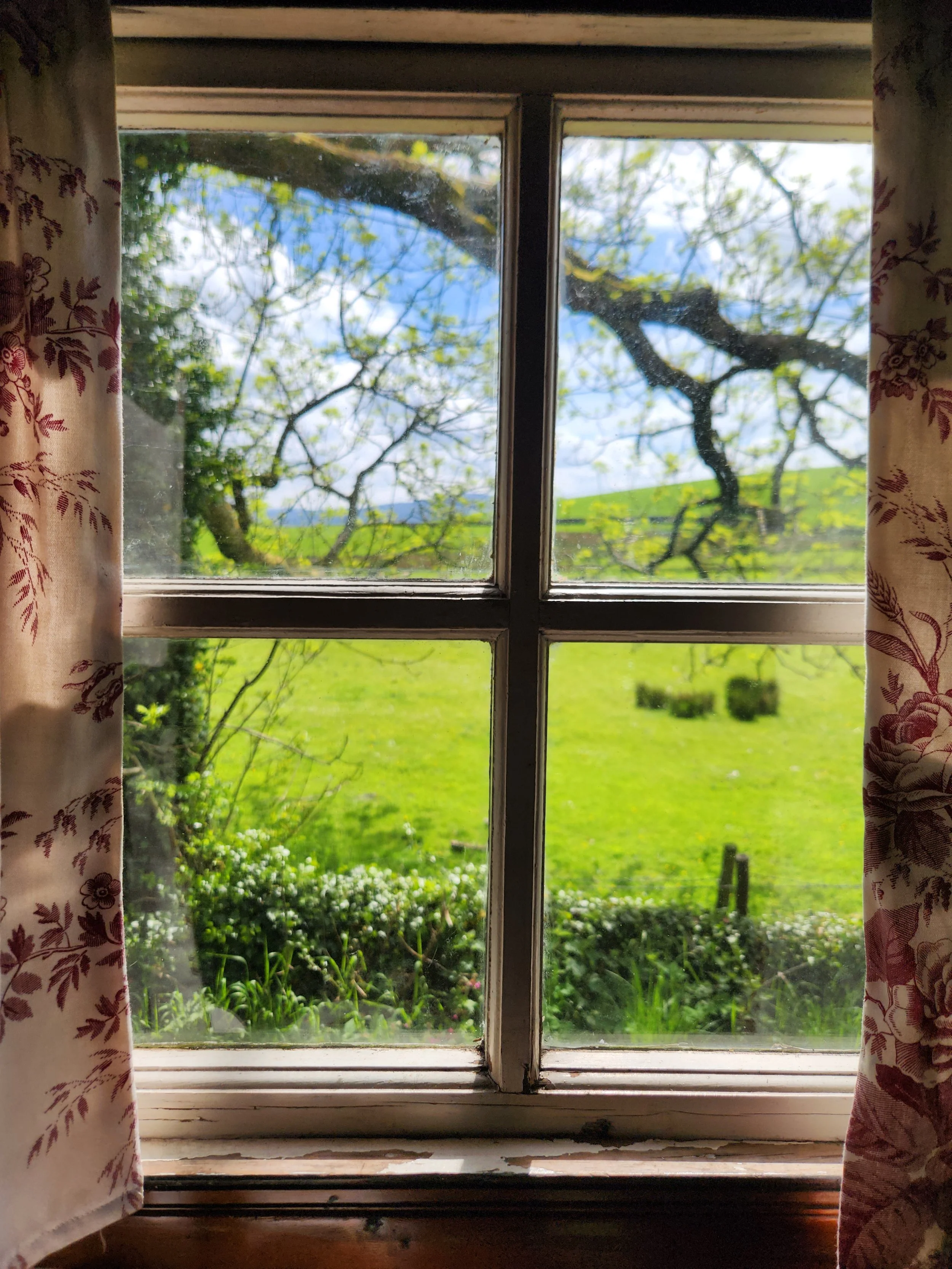 The view out of the living van