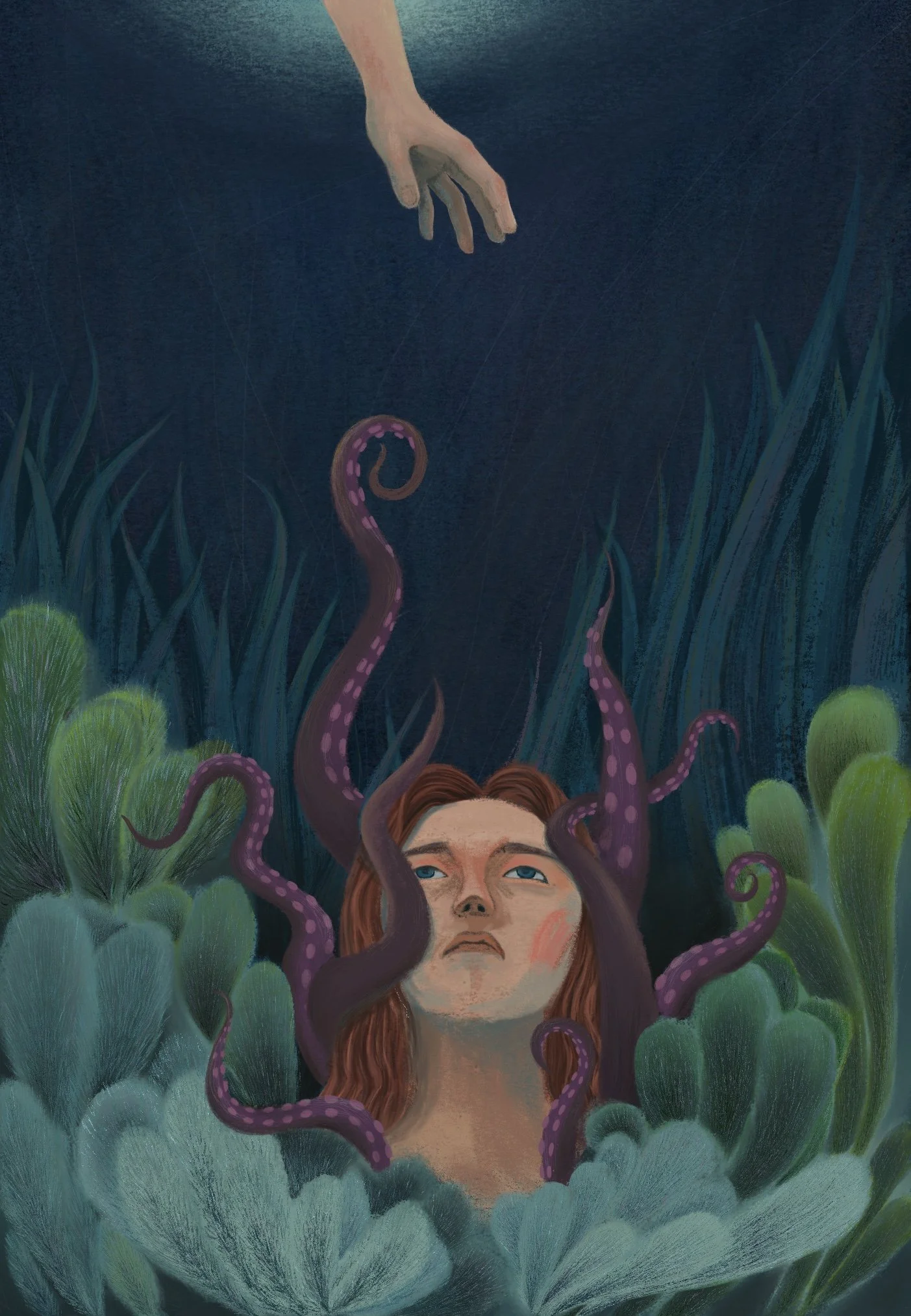 Illustrations & Prints