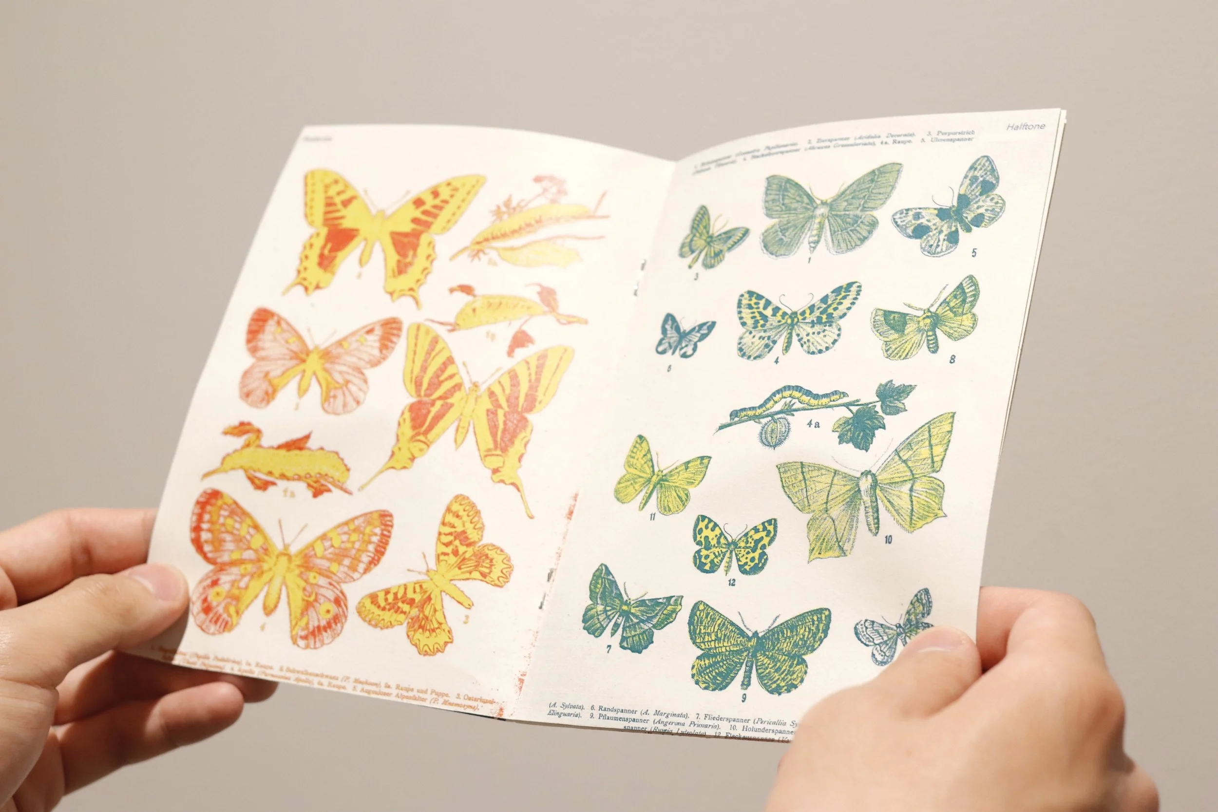 RISO Printed Butterfly Zine