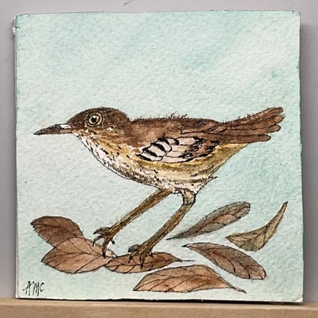 Andi-McCarter_Brown-Thrasher.jpeg