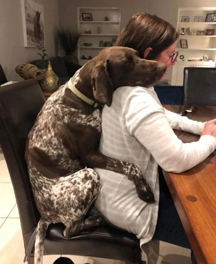 Separation Anxiety: The "I Missed You for Five Minutes" Drama