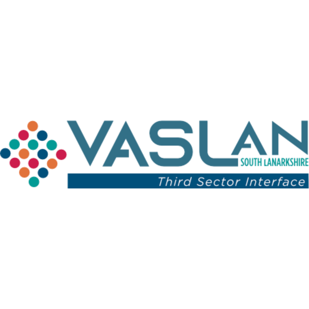 Logo for VASLAN Third Sector Interface with colorful sphere graphic.