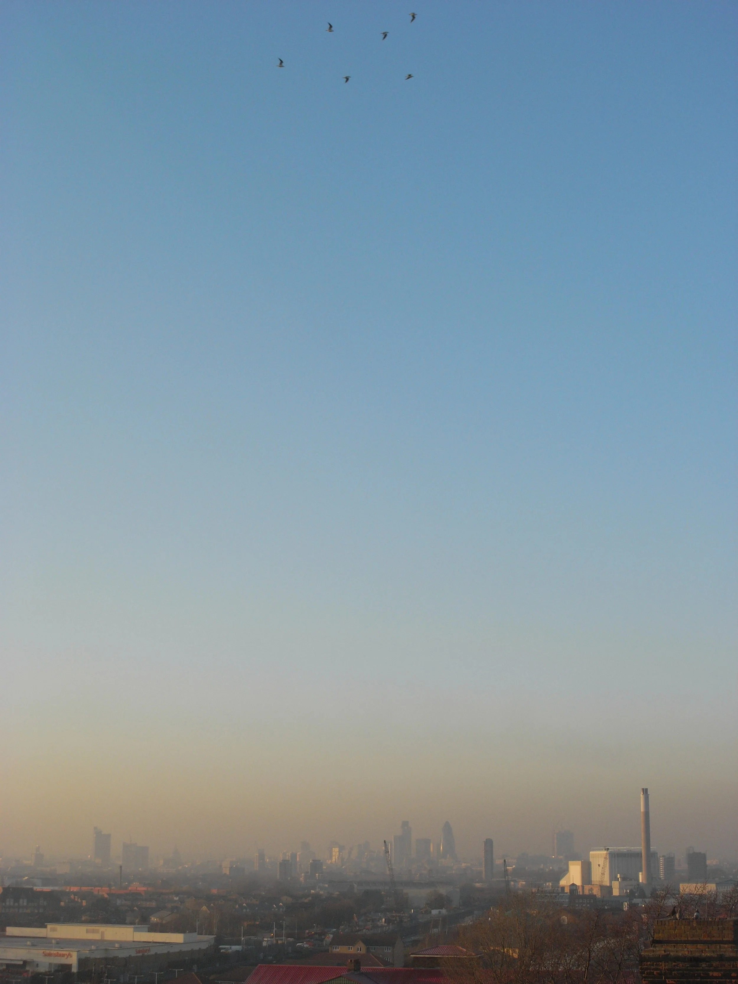 2260950089_e00a395856_o.jpg