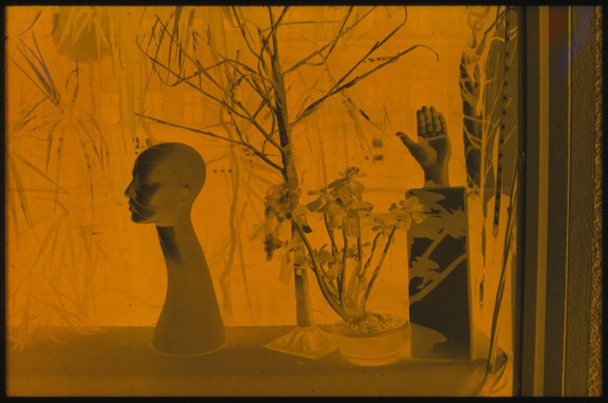 Berlin Shop Window (2018)
Expired Kodachrome, developed as B&W (the colour mask has been left on, hence the orange tone).