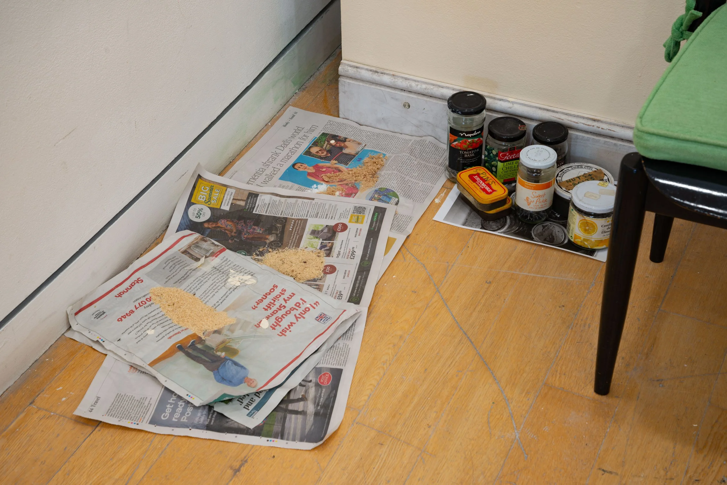 Aliceson Green-3.jpg