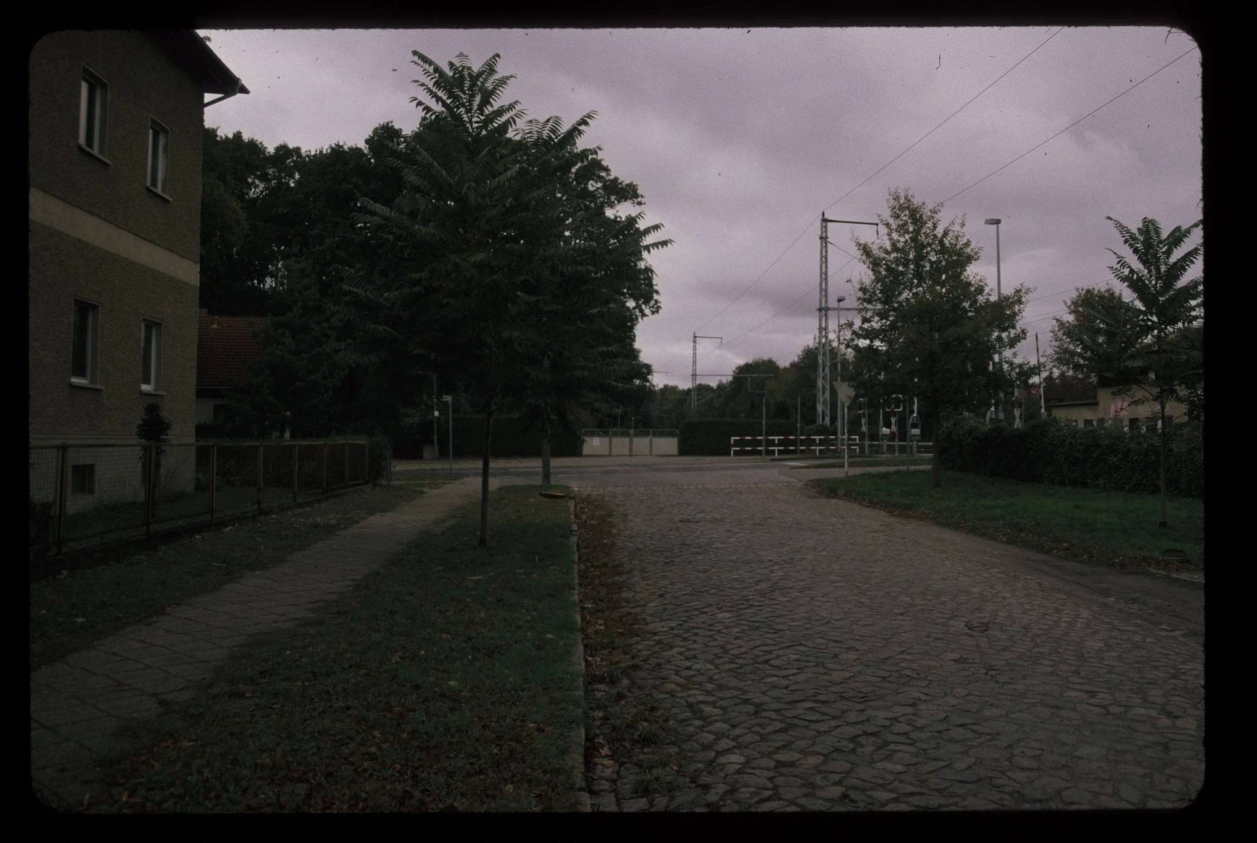 S8 S46 Eichwalde