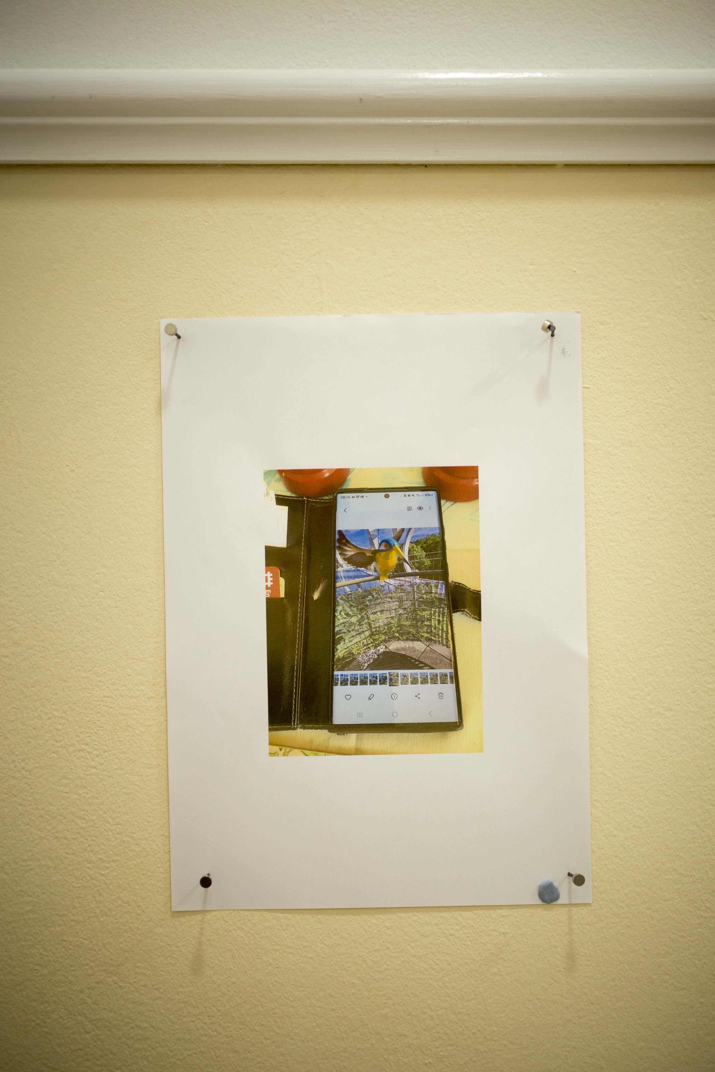 **** 3 birds copy.jpg