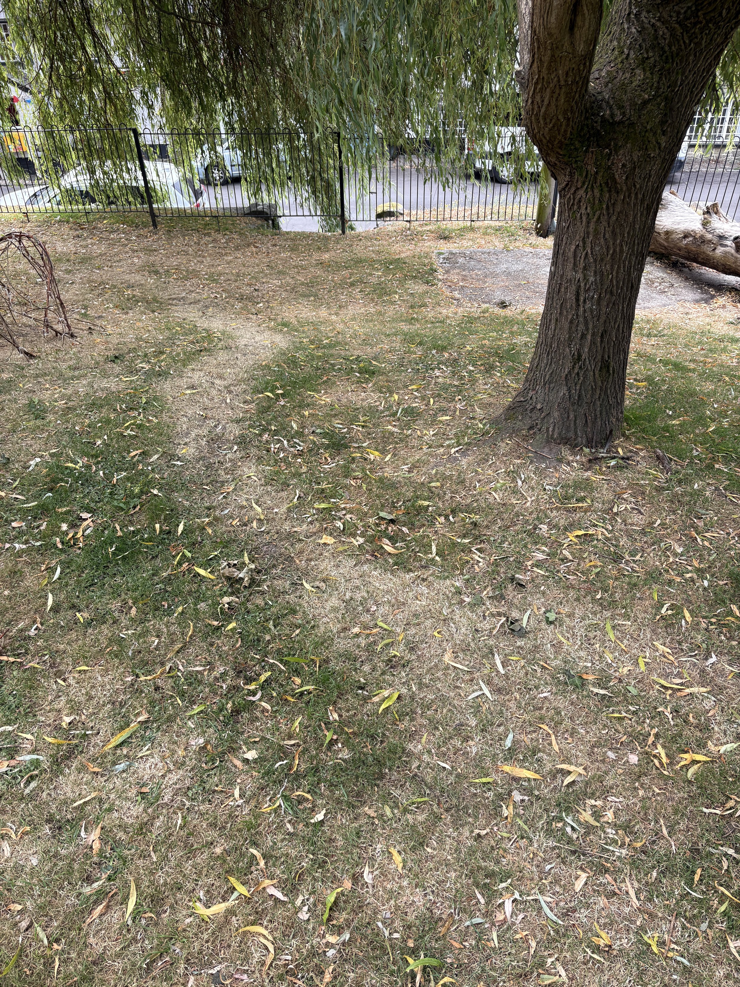 After a week the tunnel was taken down, you can see how the children enjoyed it by the worn out grass.
