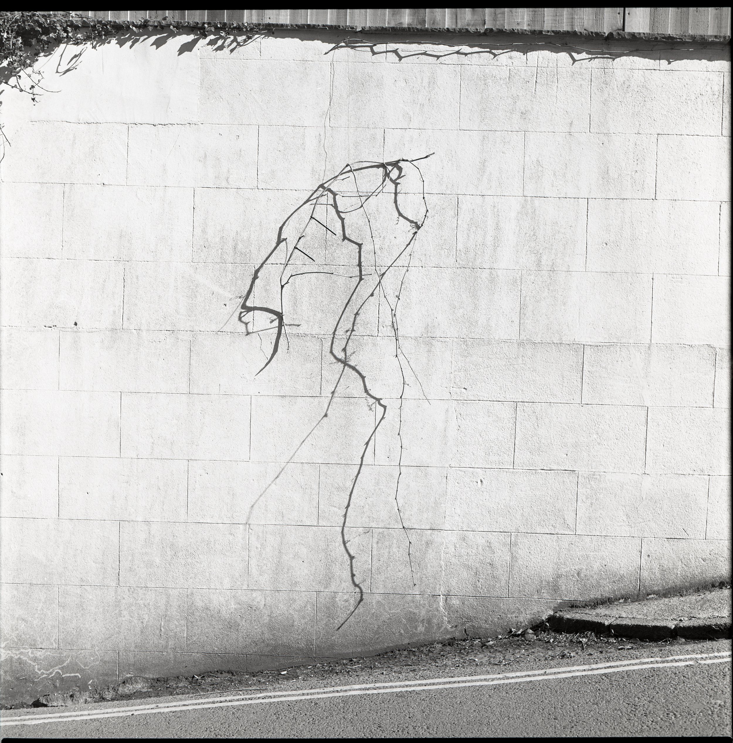Hanging On (2023)
Analogue archival hand print.