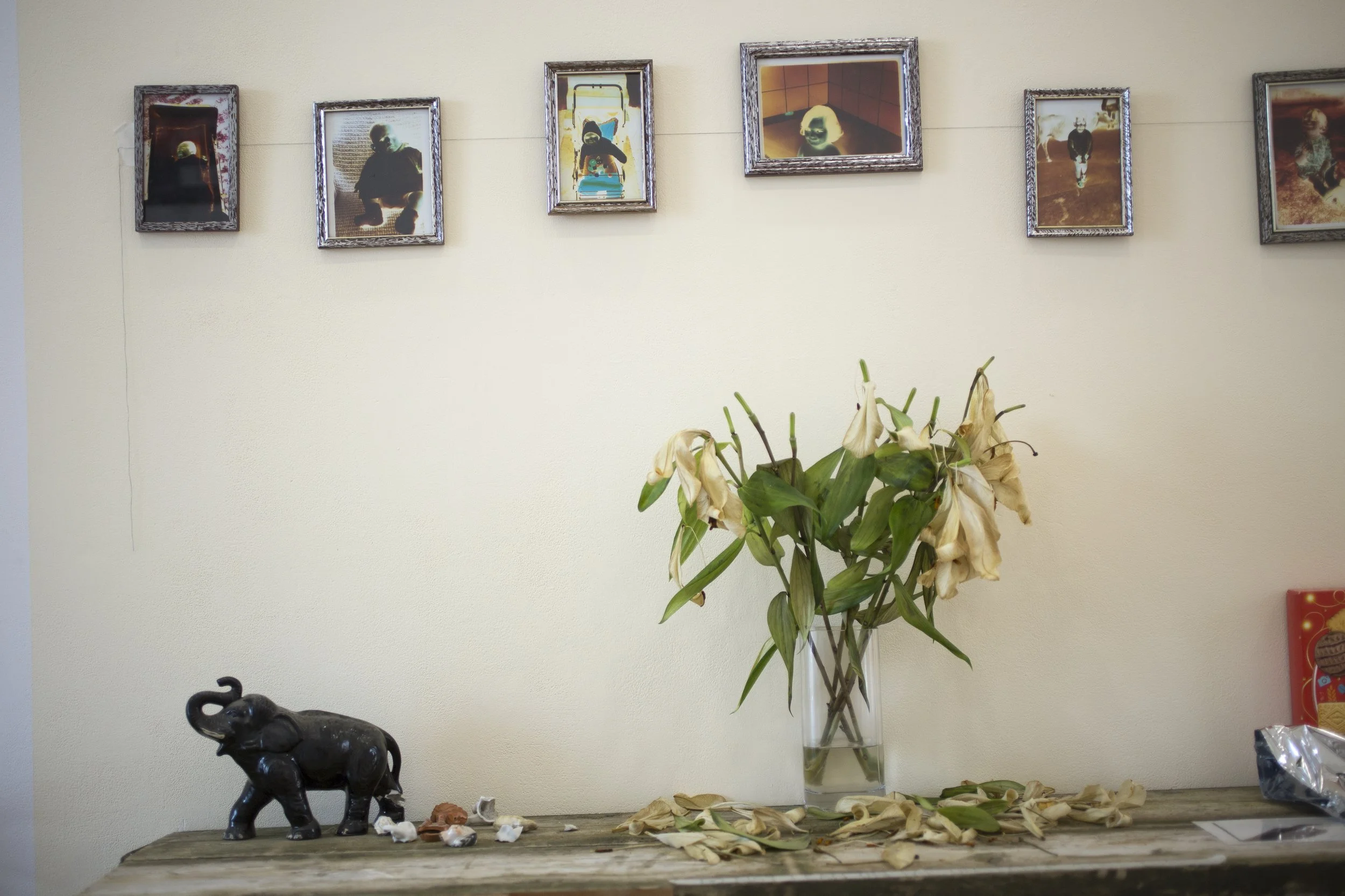 5 ele sb straight2.jpg