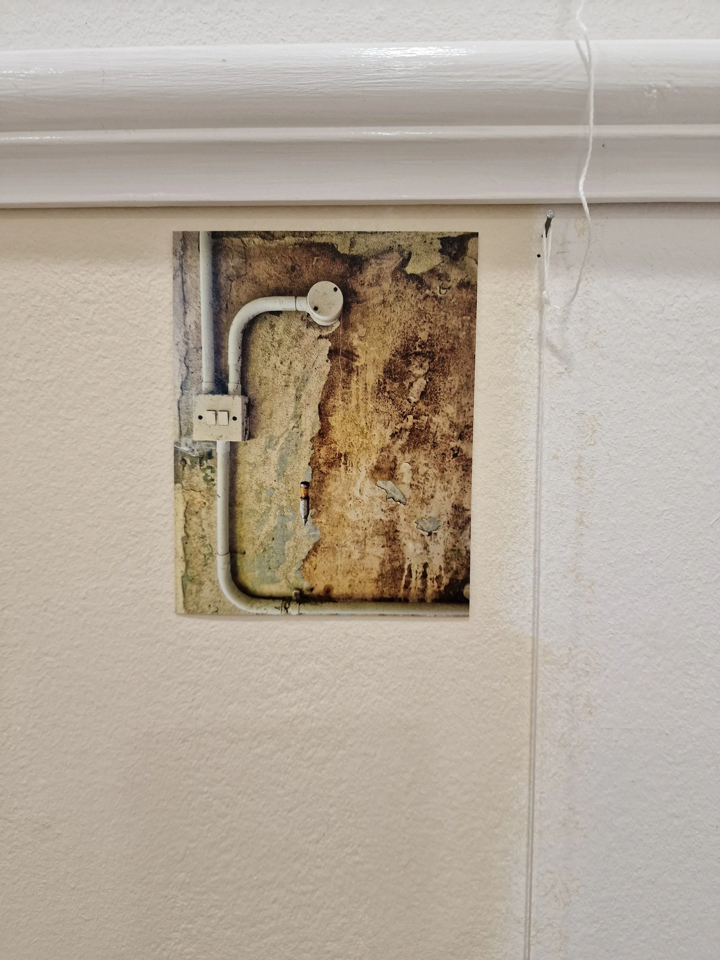 **** string photo.jpg