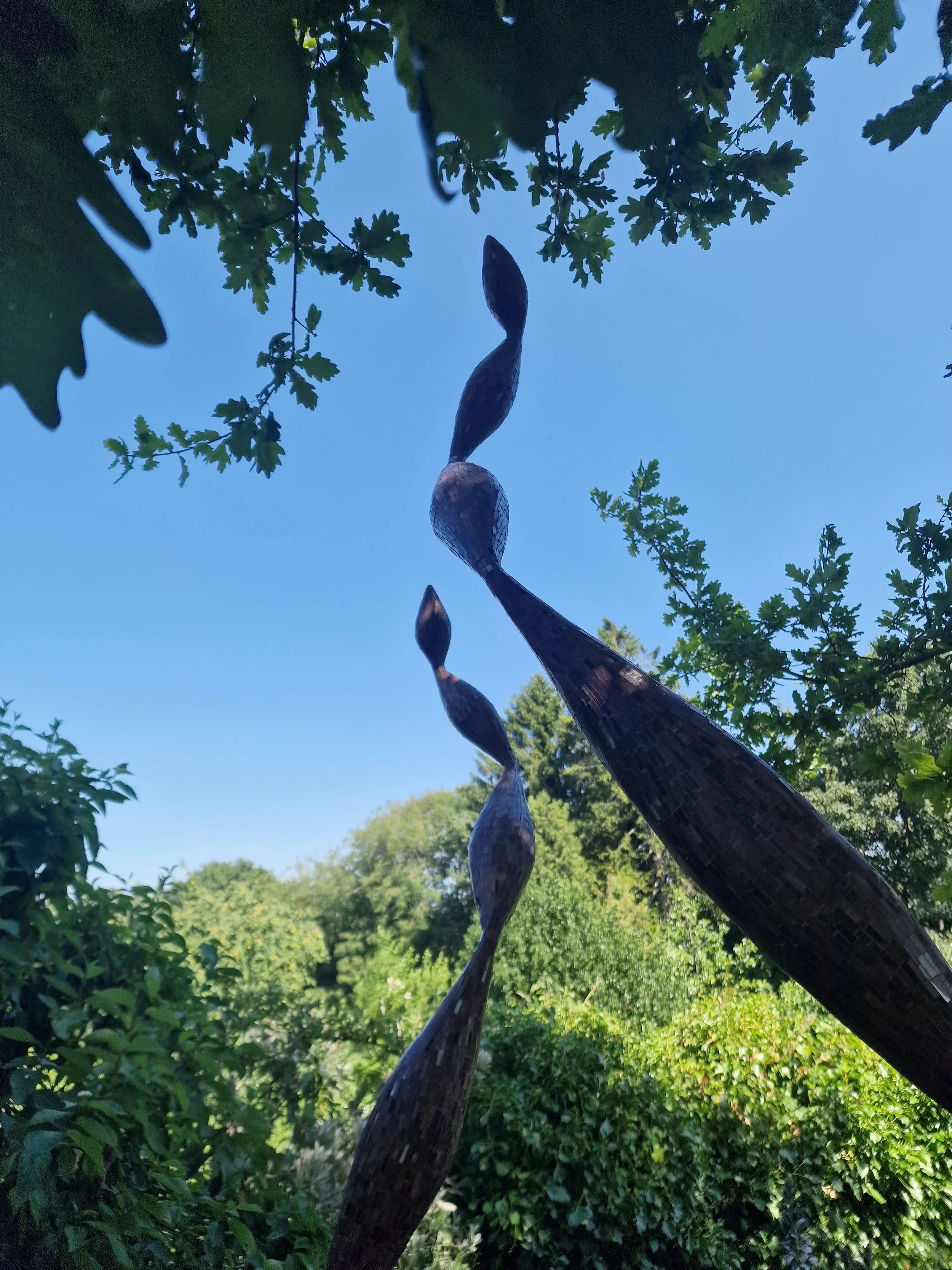 Quercus Edition by Rebecca Newnham stands beside the oak tree in the Gold Hill Museum garden.