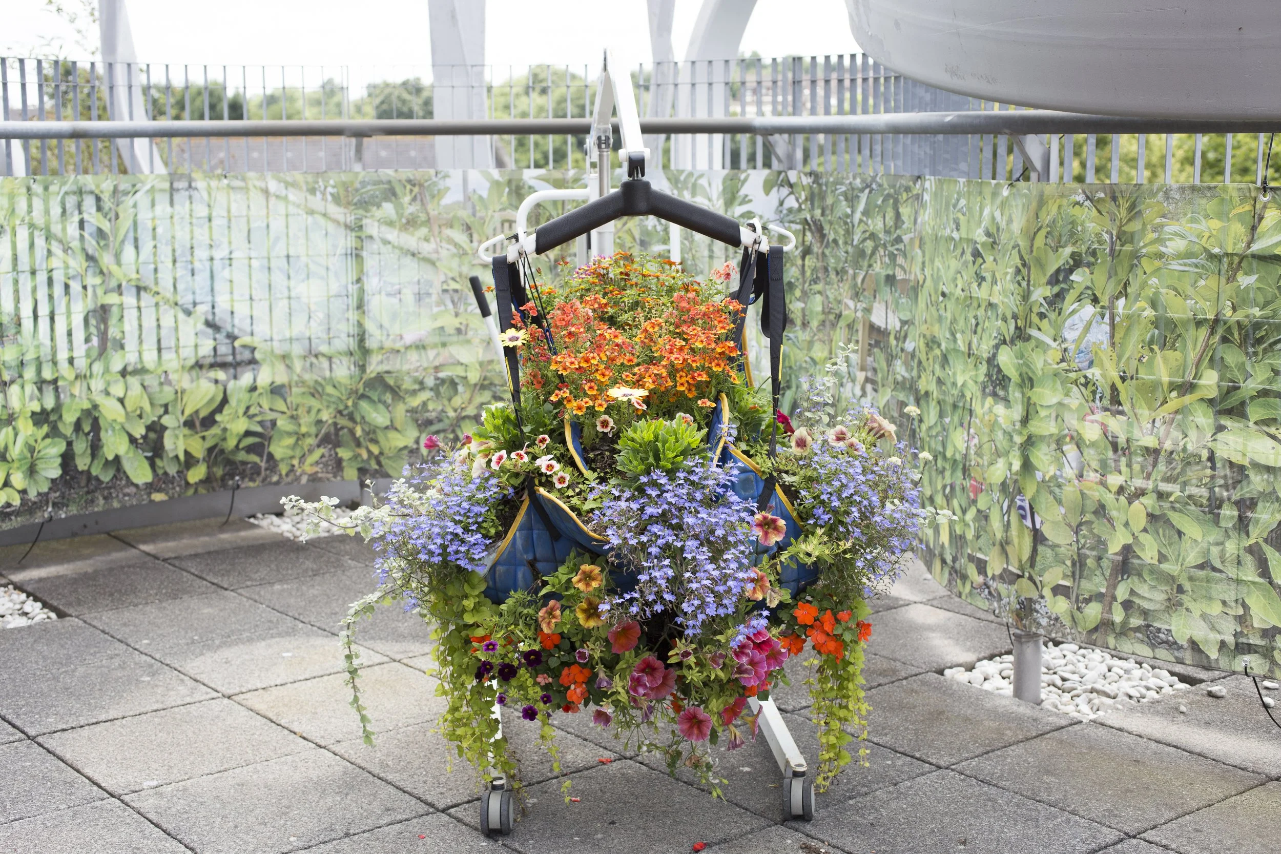 5 t rhoist fence1.jpg