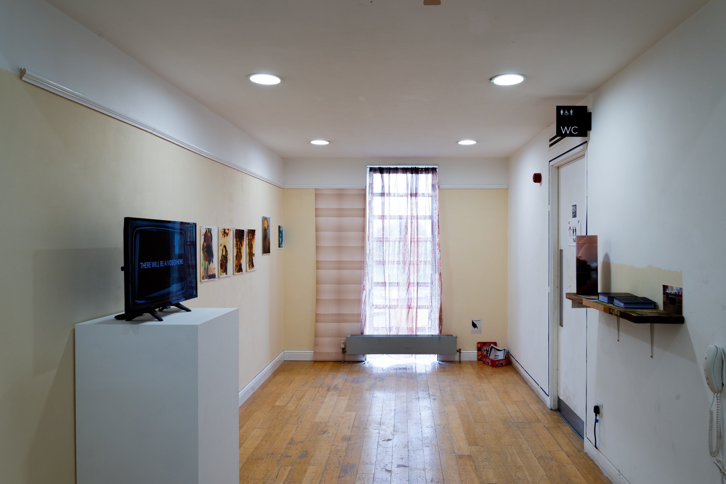 Aliceson Green-2.jpg