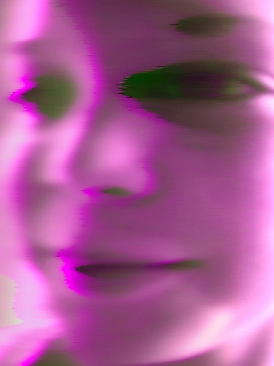my-cameras-broken_2175522070_o.jpg