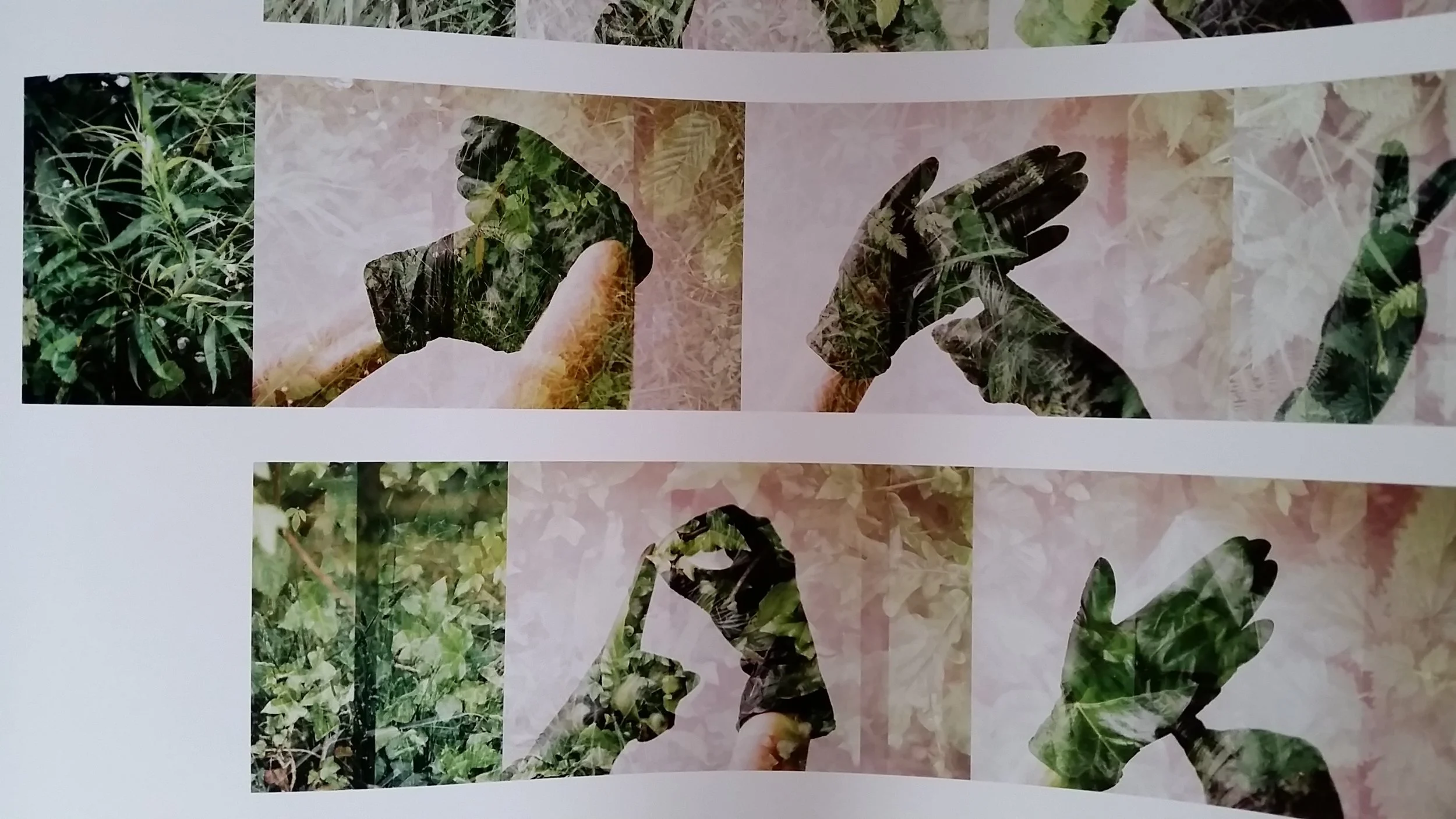 green2.jpg