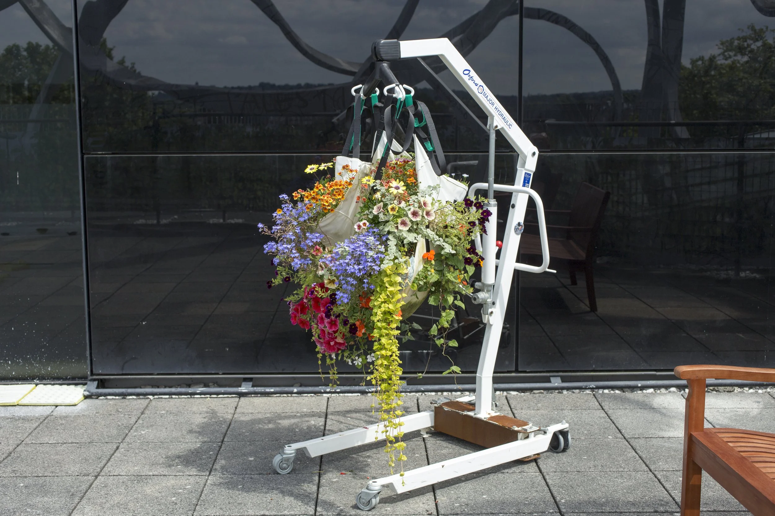 They Did the Best...(terrace)