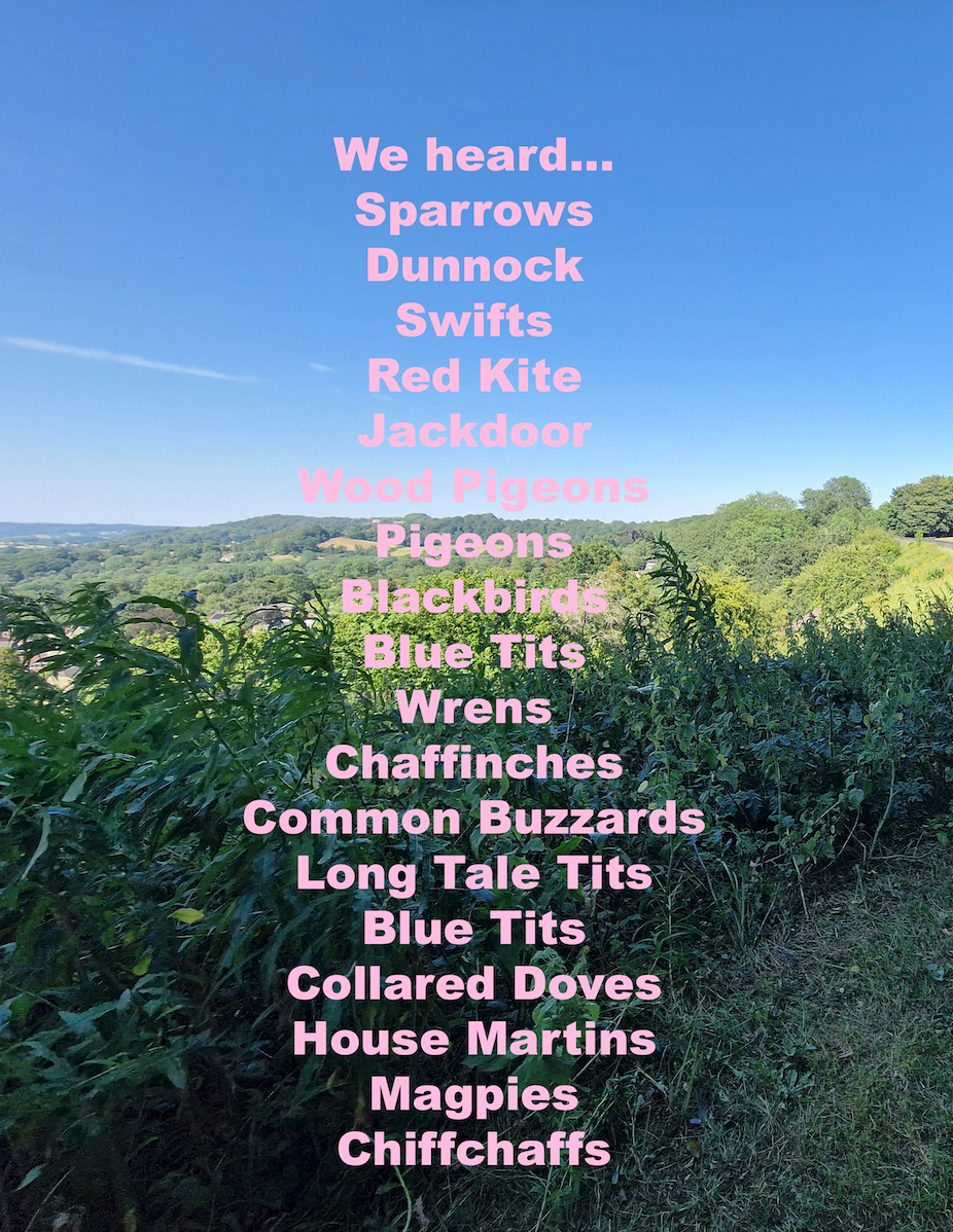 Bird Walk tally.
