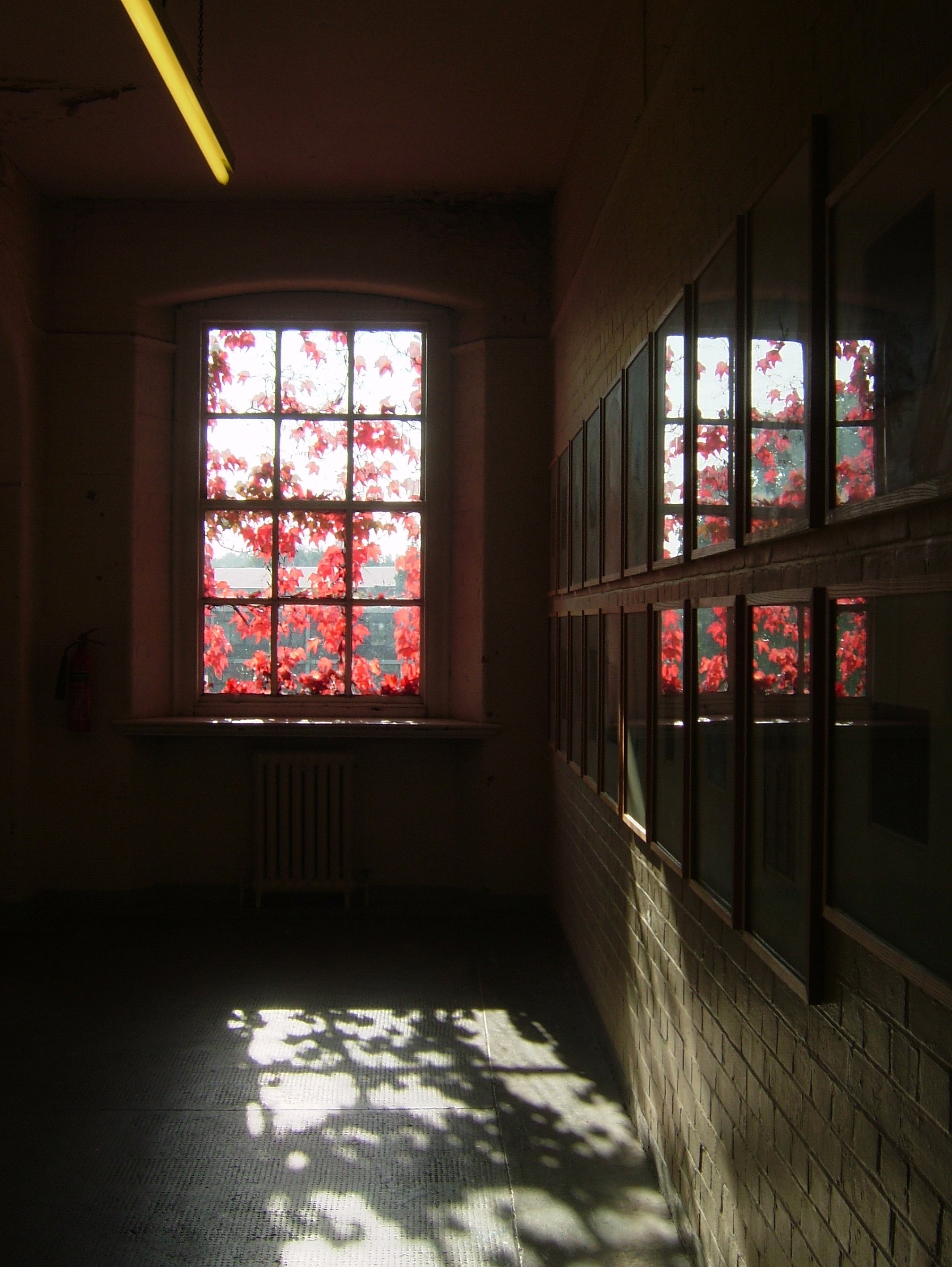 goldsmiths_1553550385_o.jpg