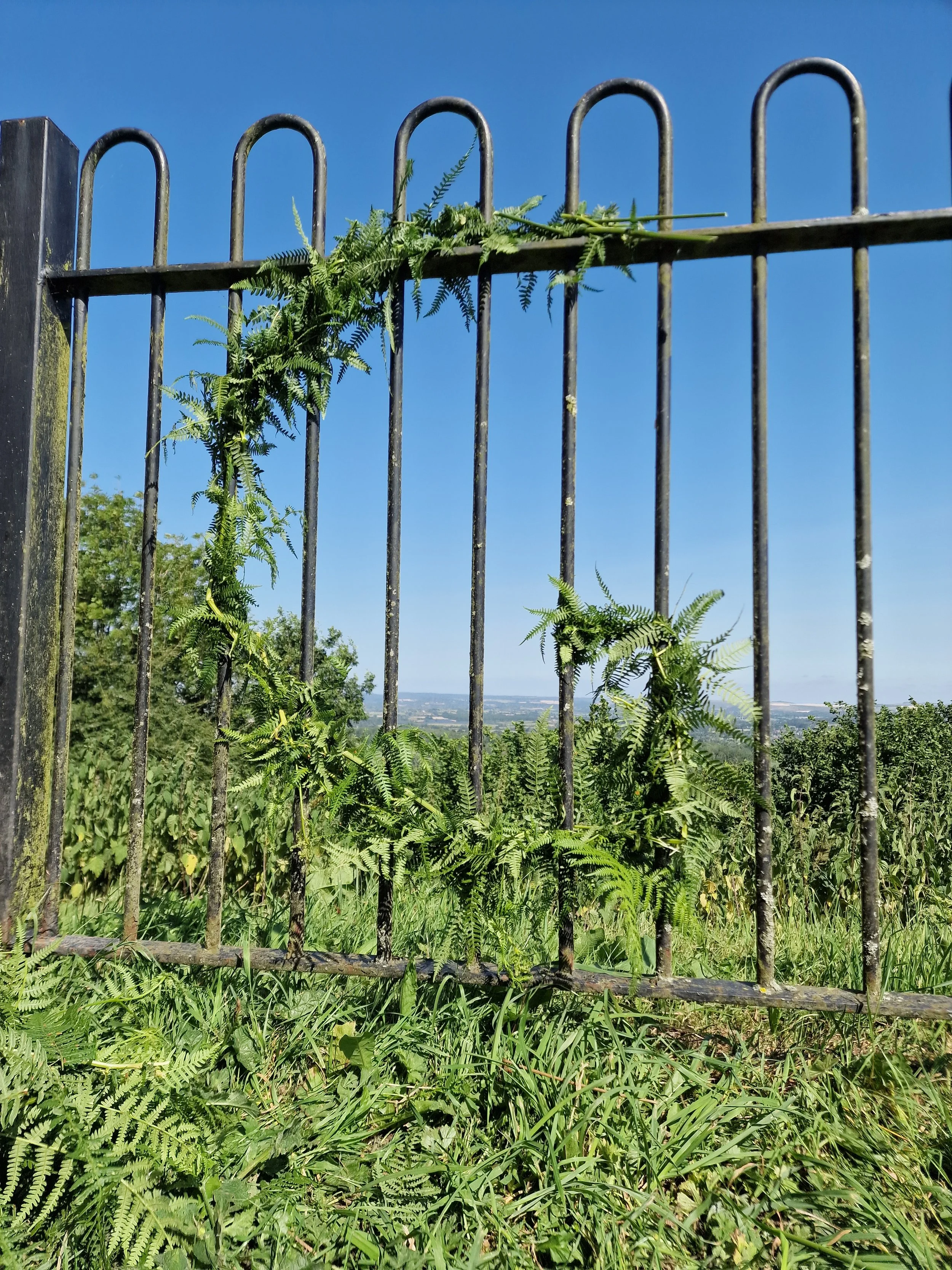...from 13–19 July, Aliceson Green weaved... 