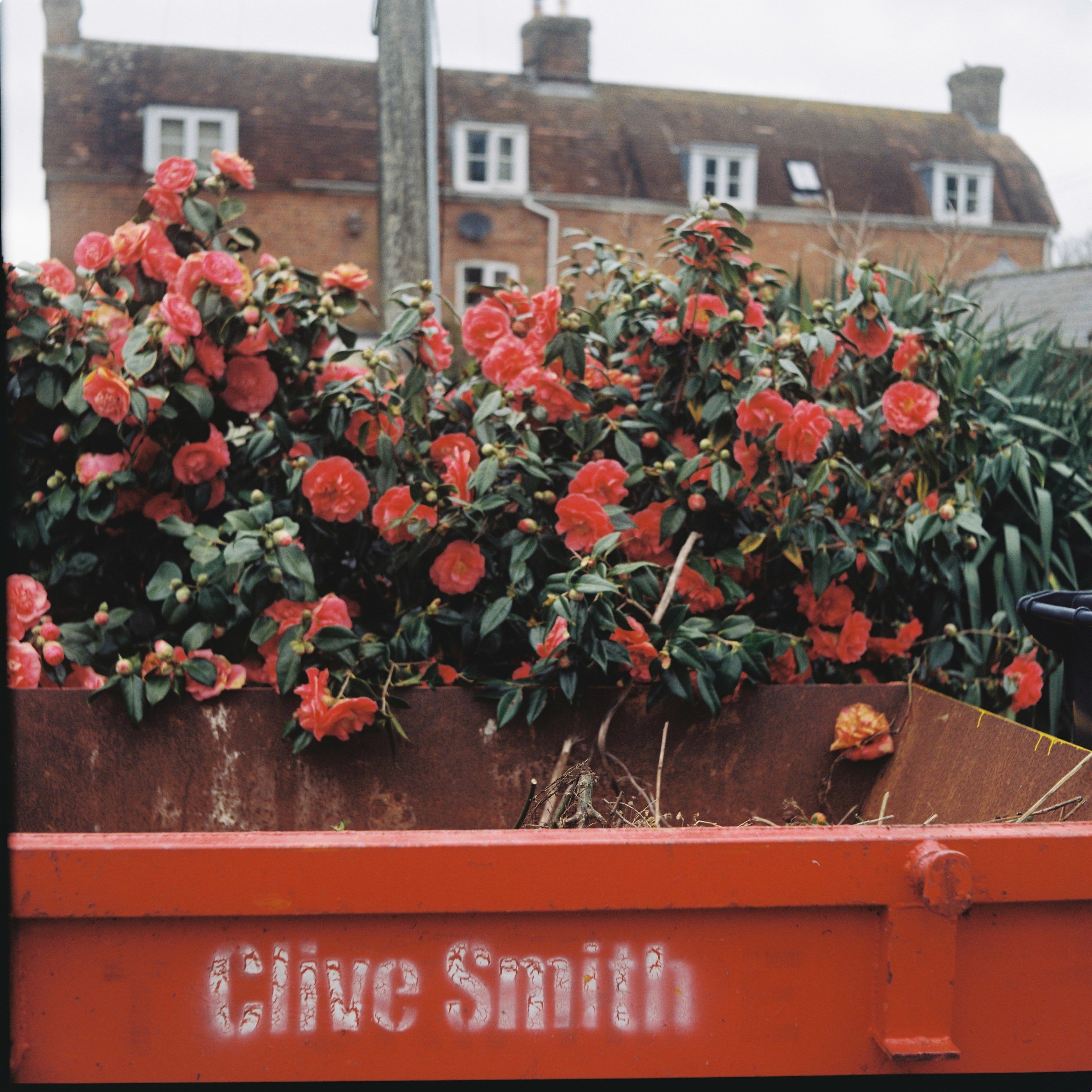 Clive Smith (2025) Medium format.