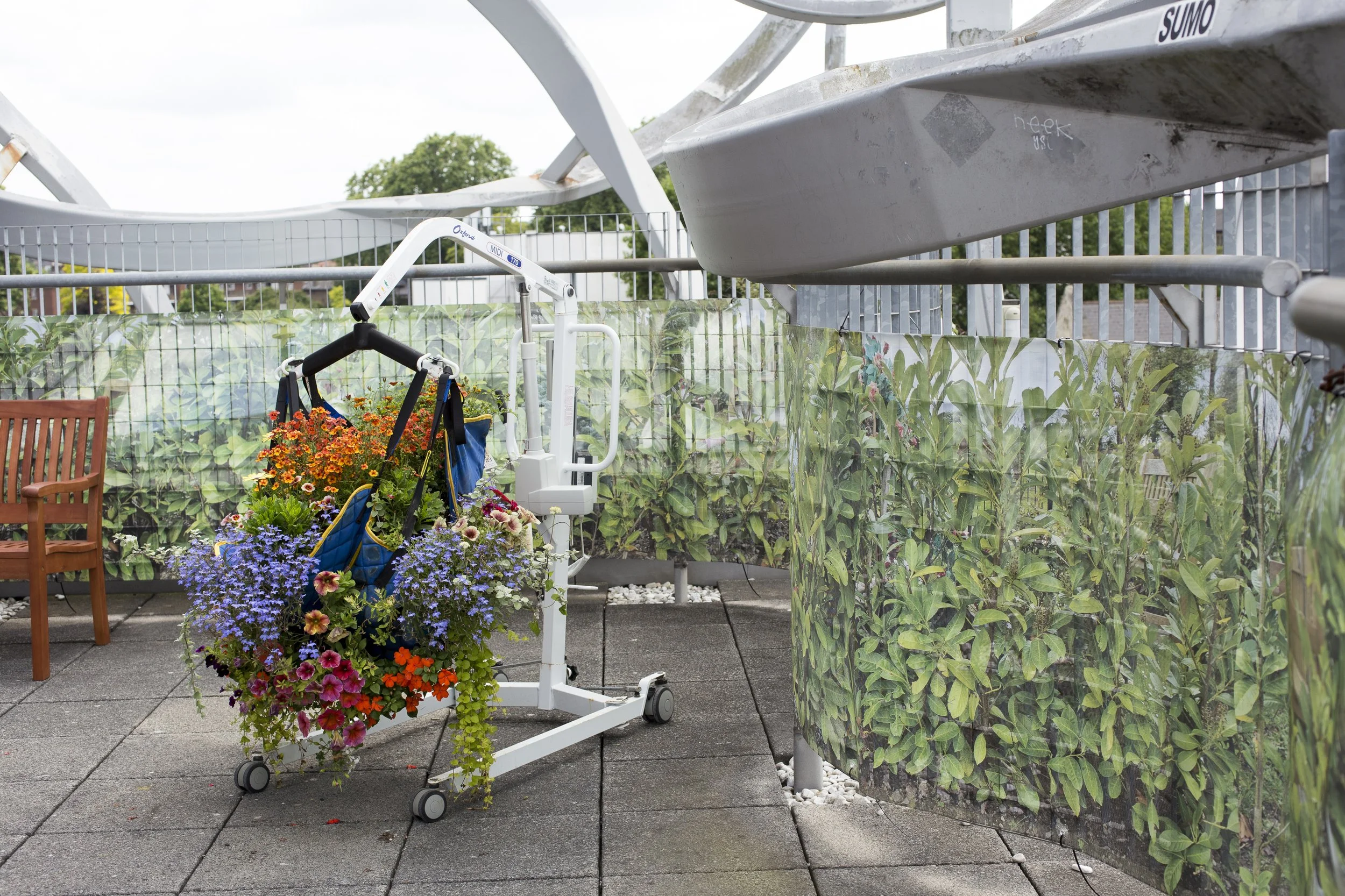 5 t rhoist fence.jpg