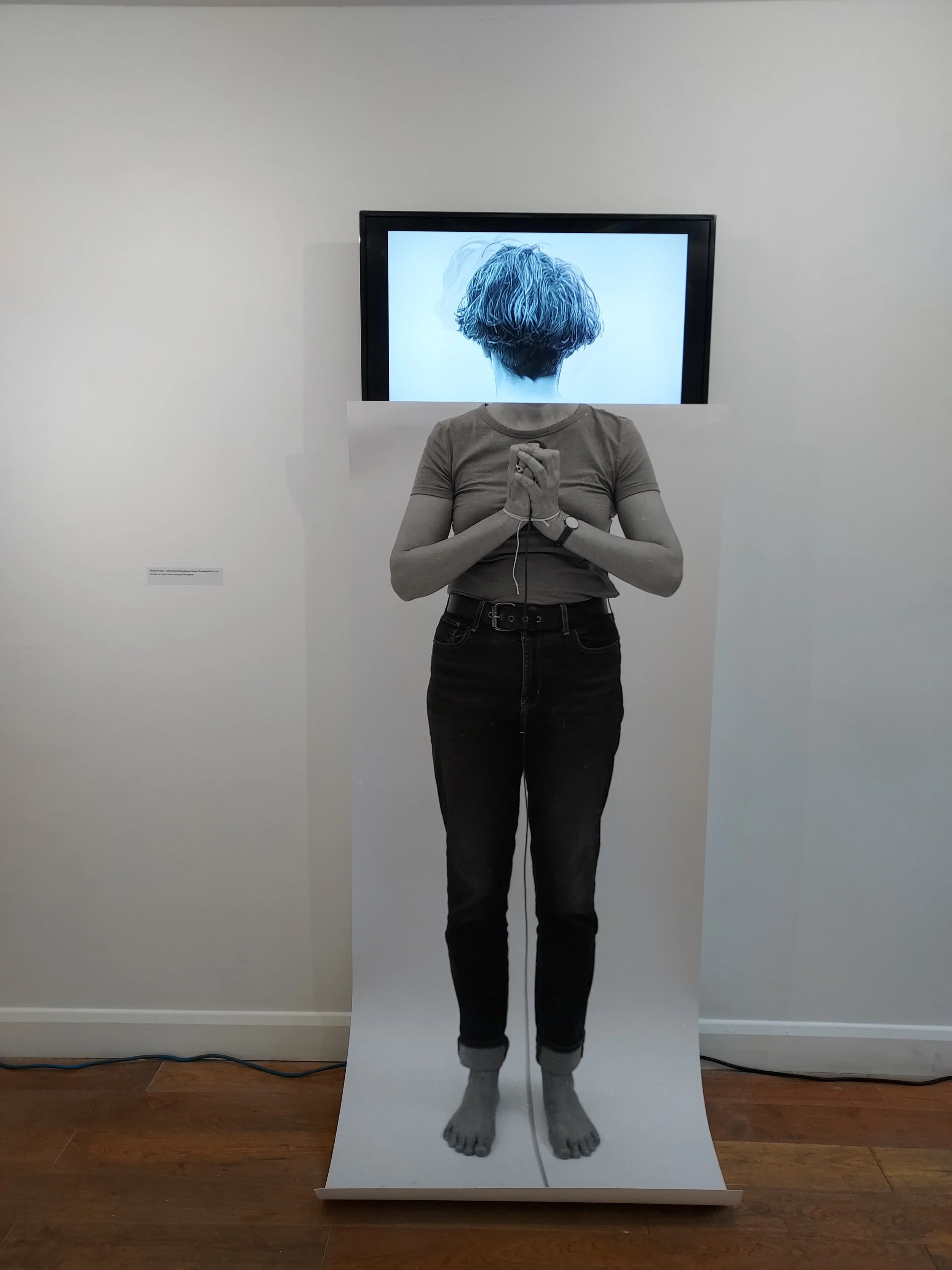 Self Portrait (sometimes it feels this way)Aliceson Green.jpeg