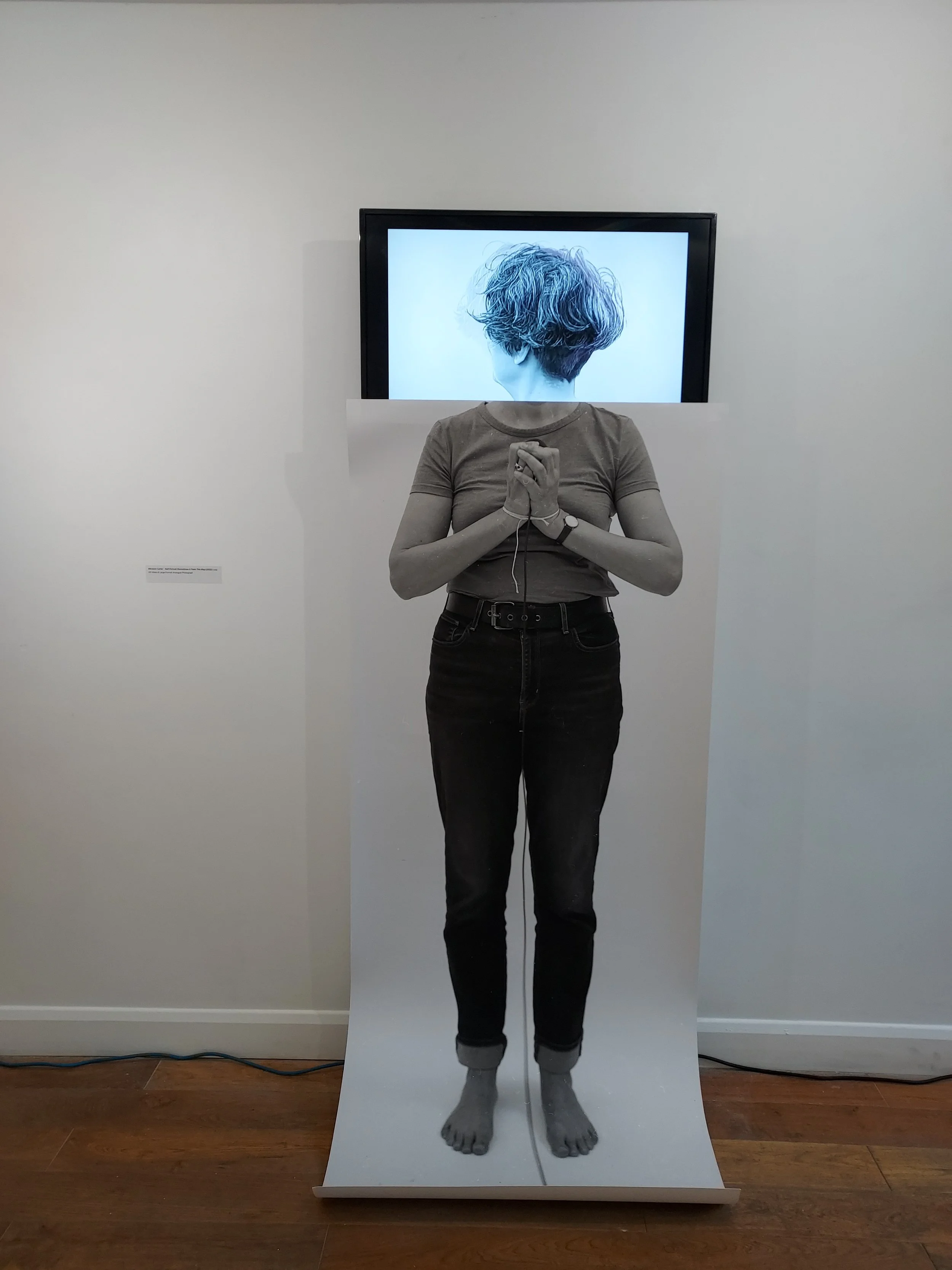 Self Portrait (sometimes it feels this way)Aliceson Green 3.jpg