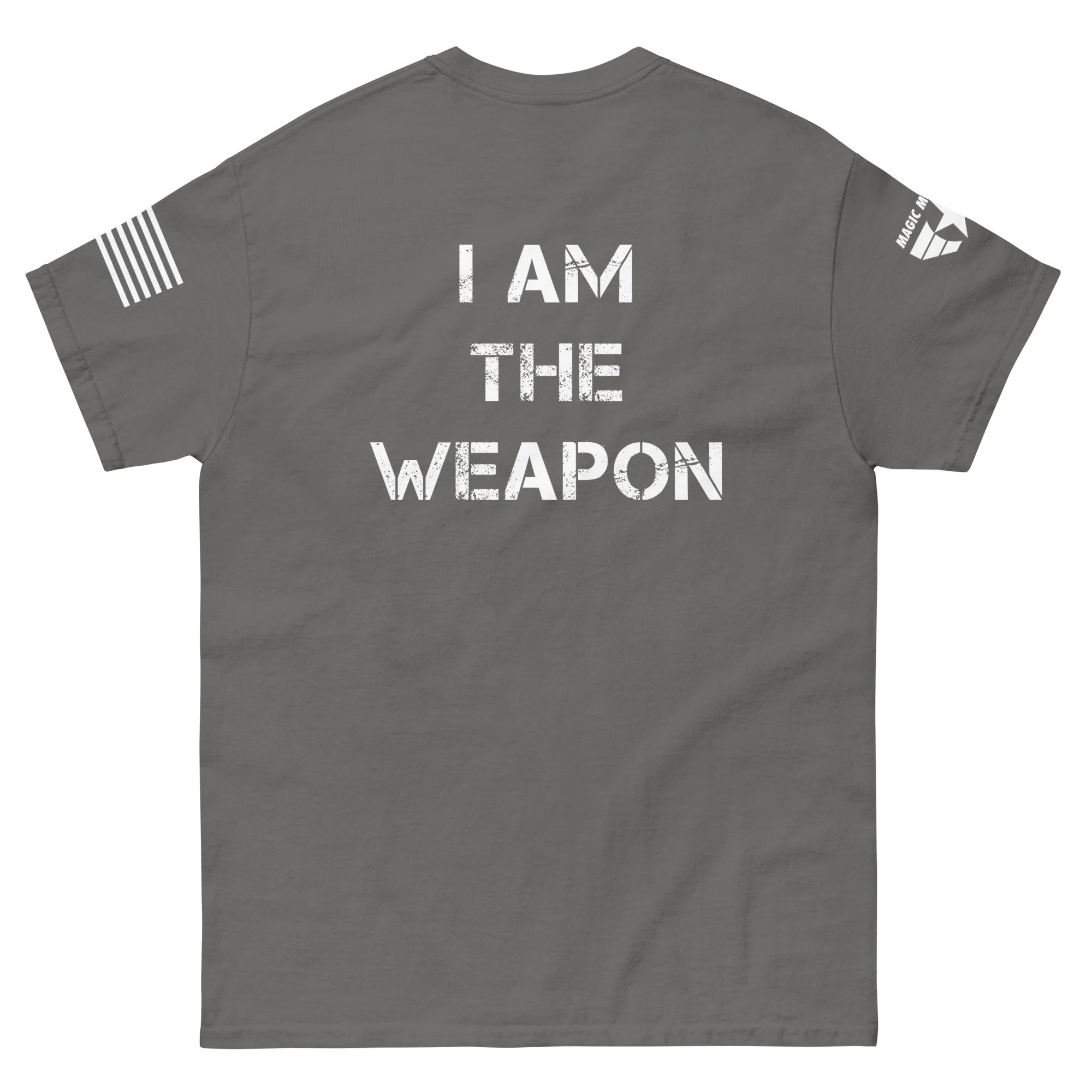 unisex-classic-tee-charcoal-back-6a1a296a33a51.jpg
