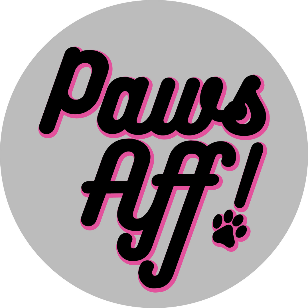 Newsletter Video  2.PNG