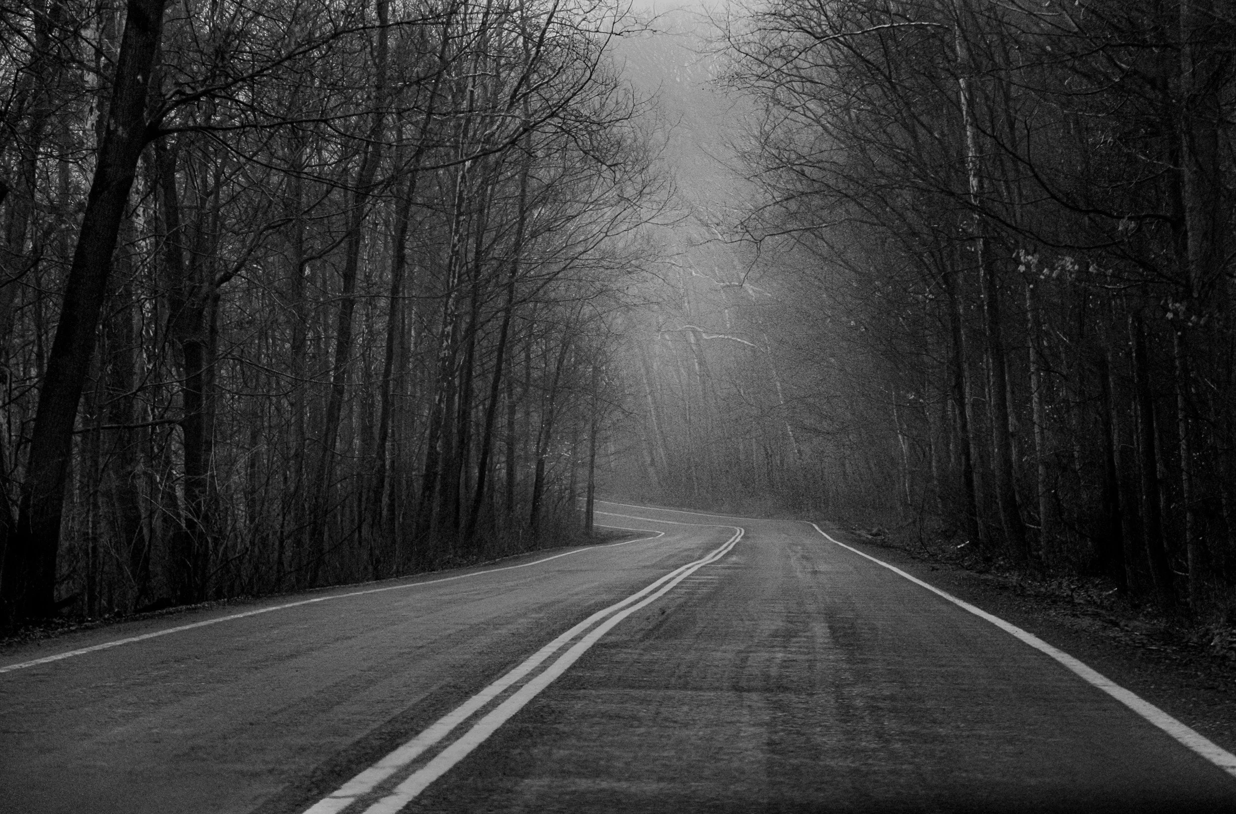 A quiet road disappears into the distance, inviting the journey ahead.