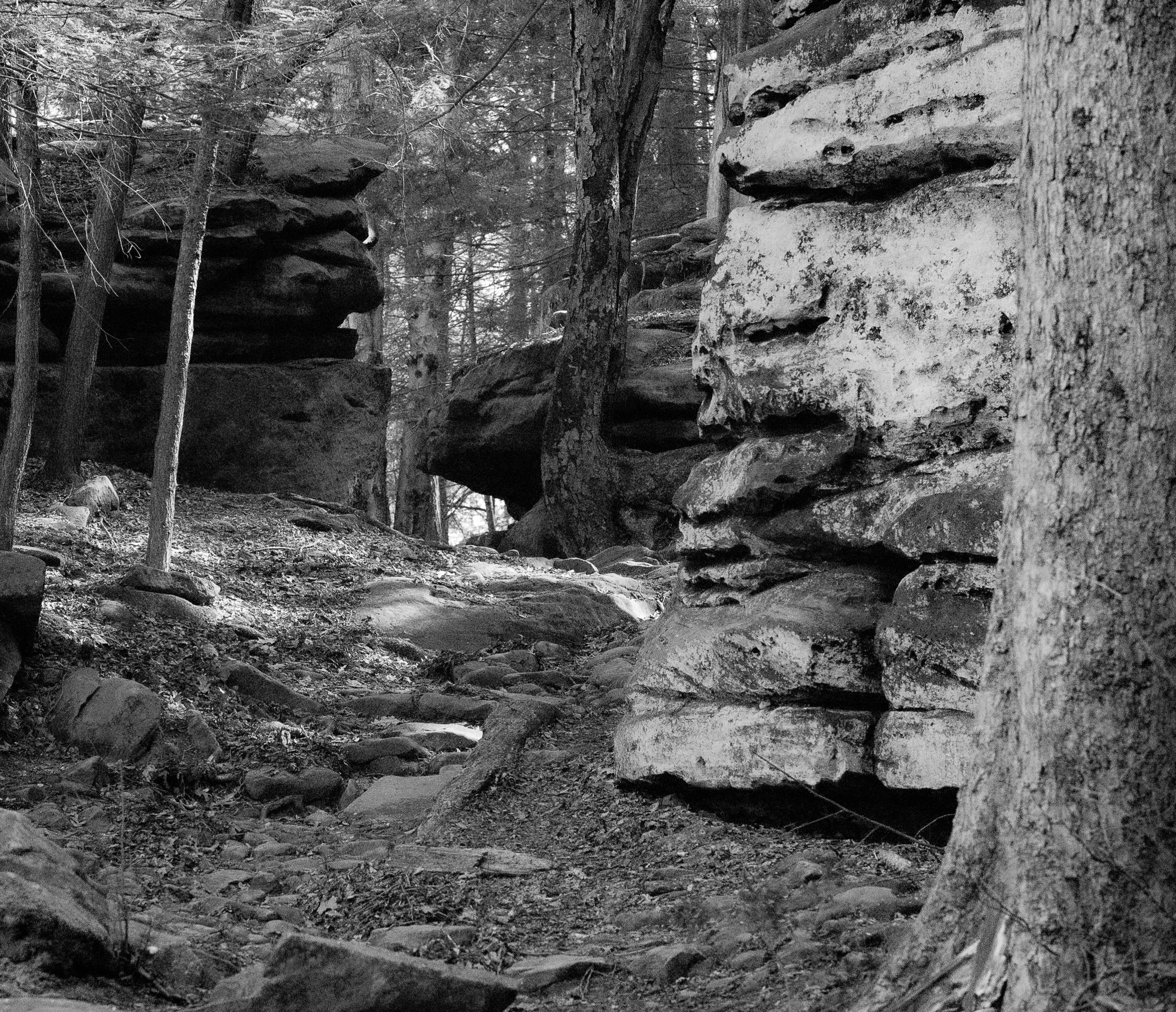 Natural stone formations guide the eye deeper into the forest.