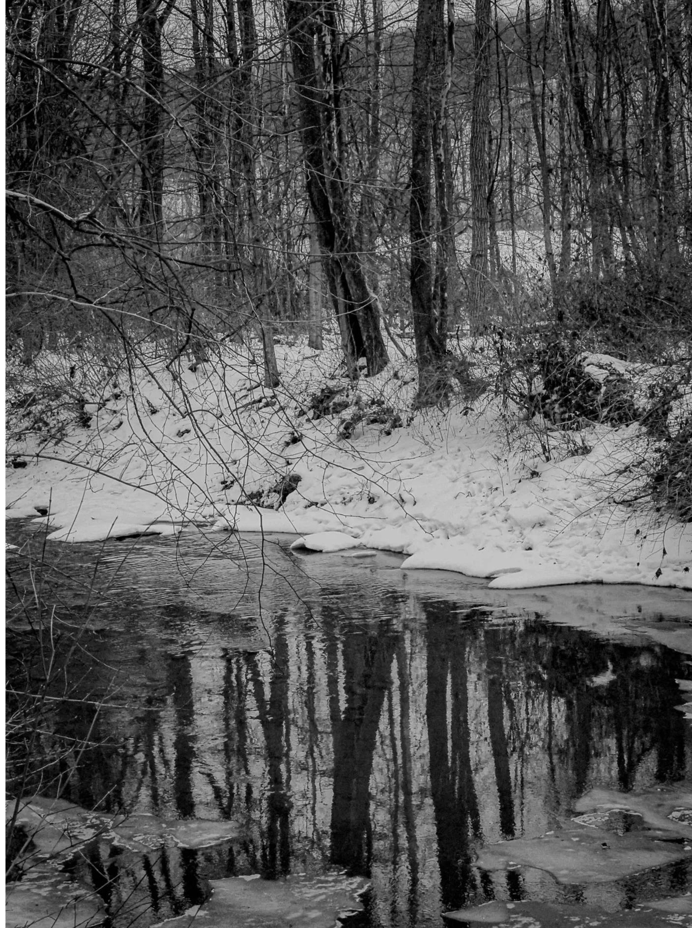 Snow-lined creek quietly reflecting bare trees.