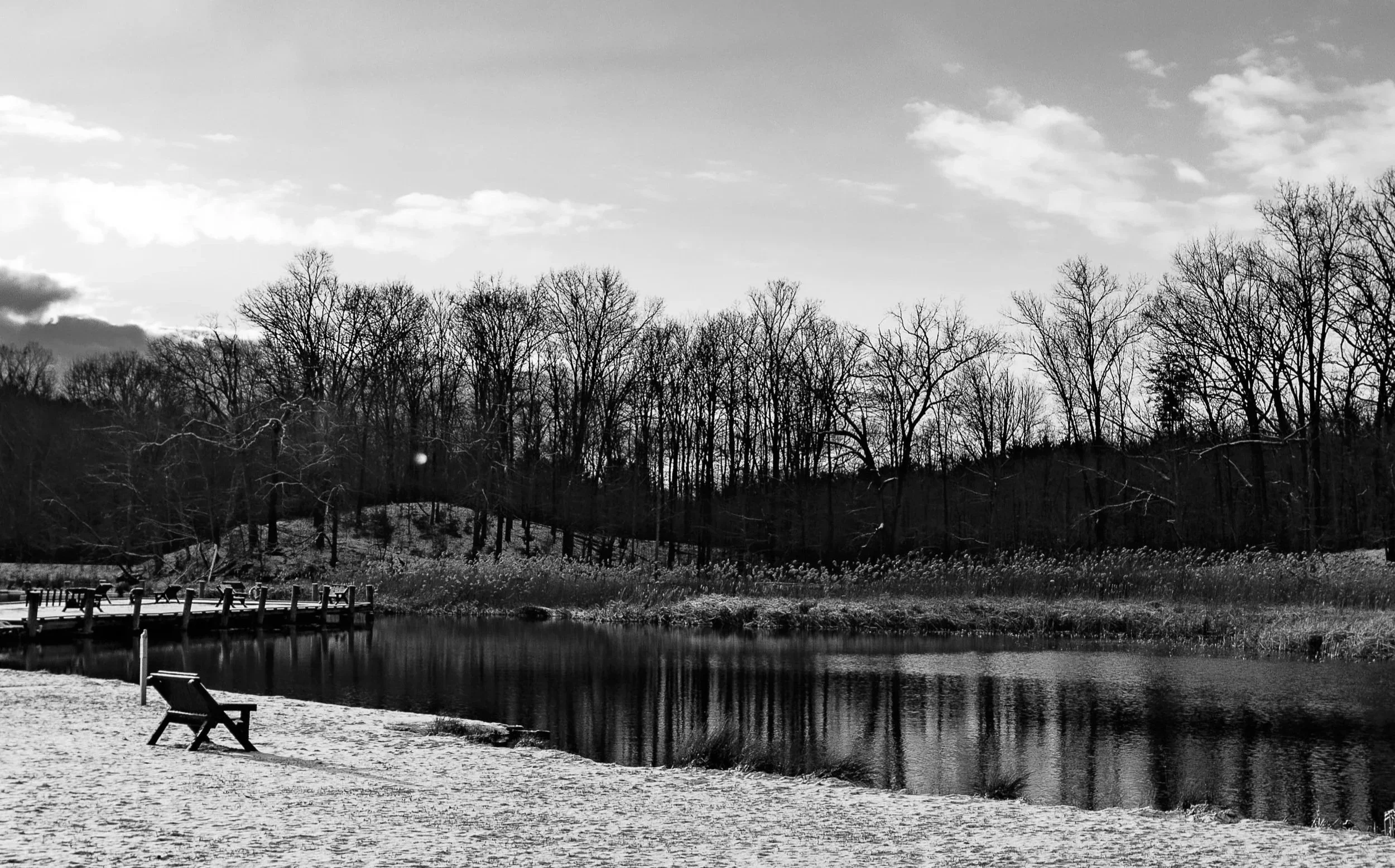 Bare trees mirrored in the quiet surface of a winter pond.