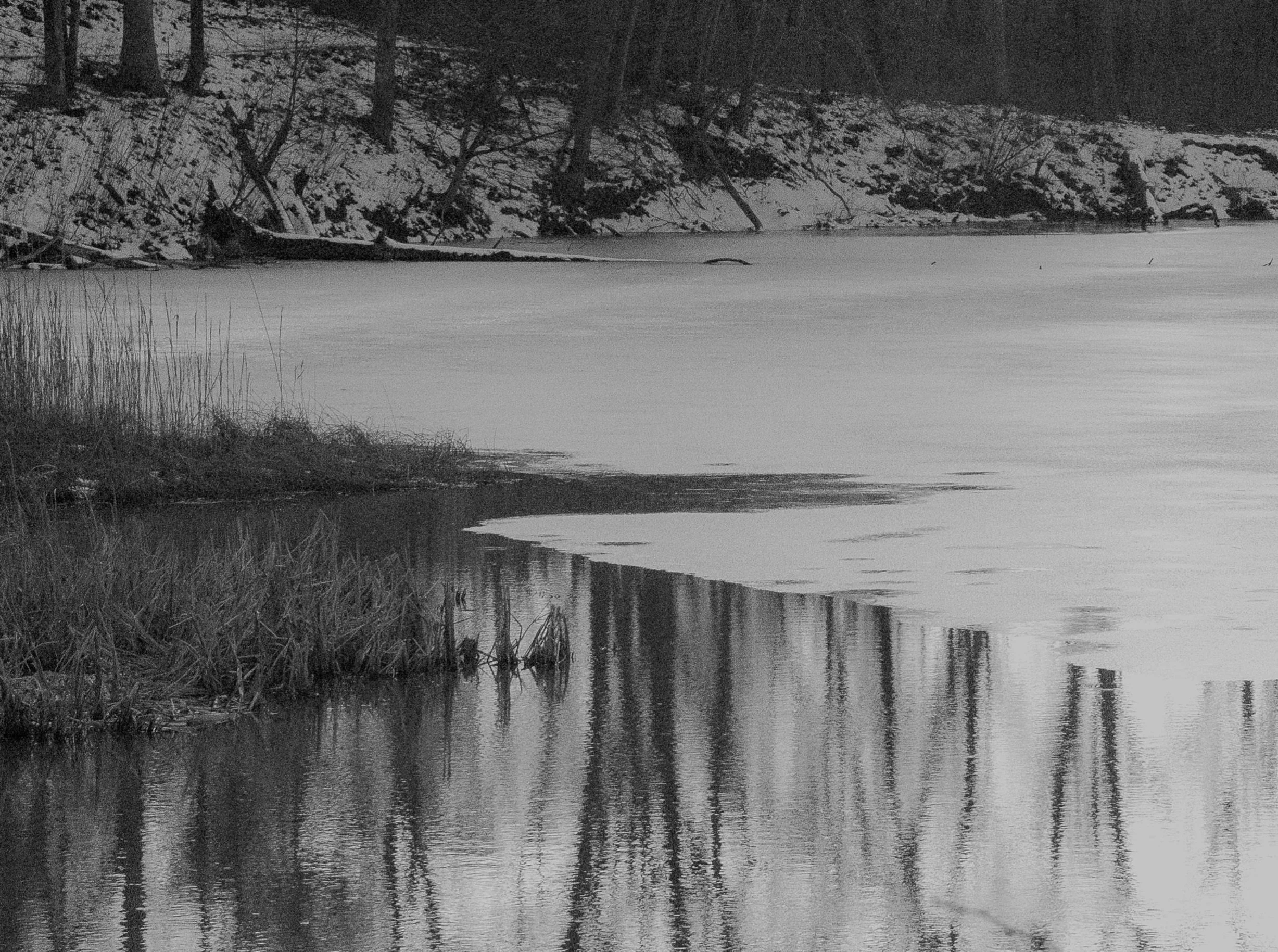 Frozen shoreline with soft reflections across still water.
