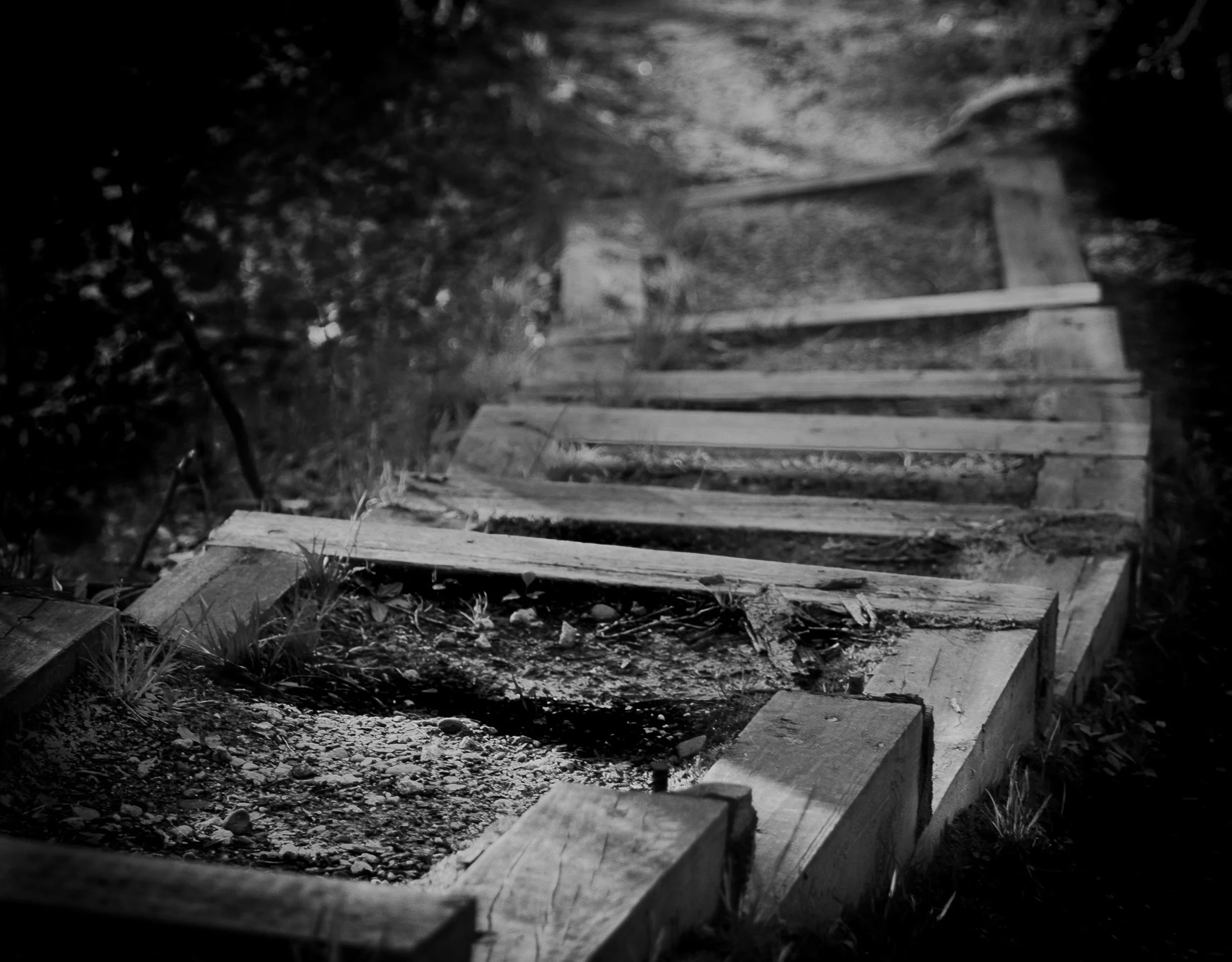 Stone steps invite a slower pace and quiet exploration.