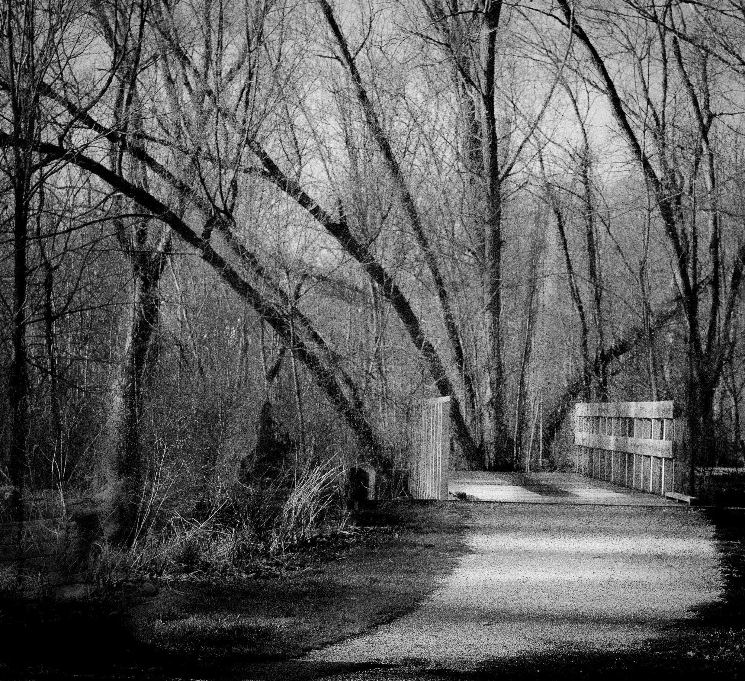 Curving pathways gently lead through a landscape shaped by time.